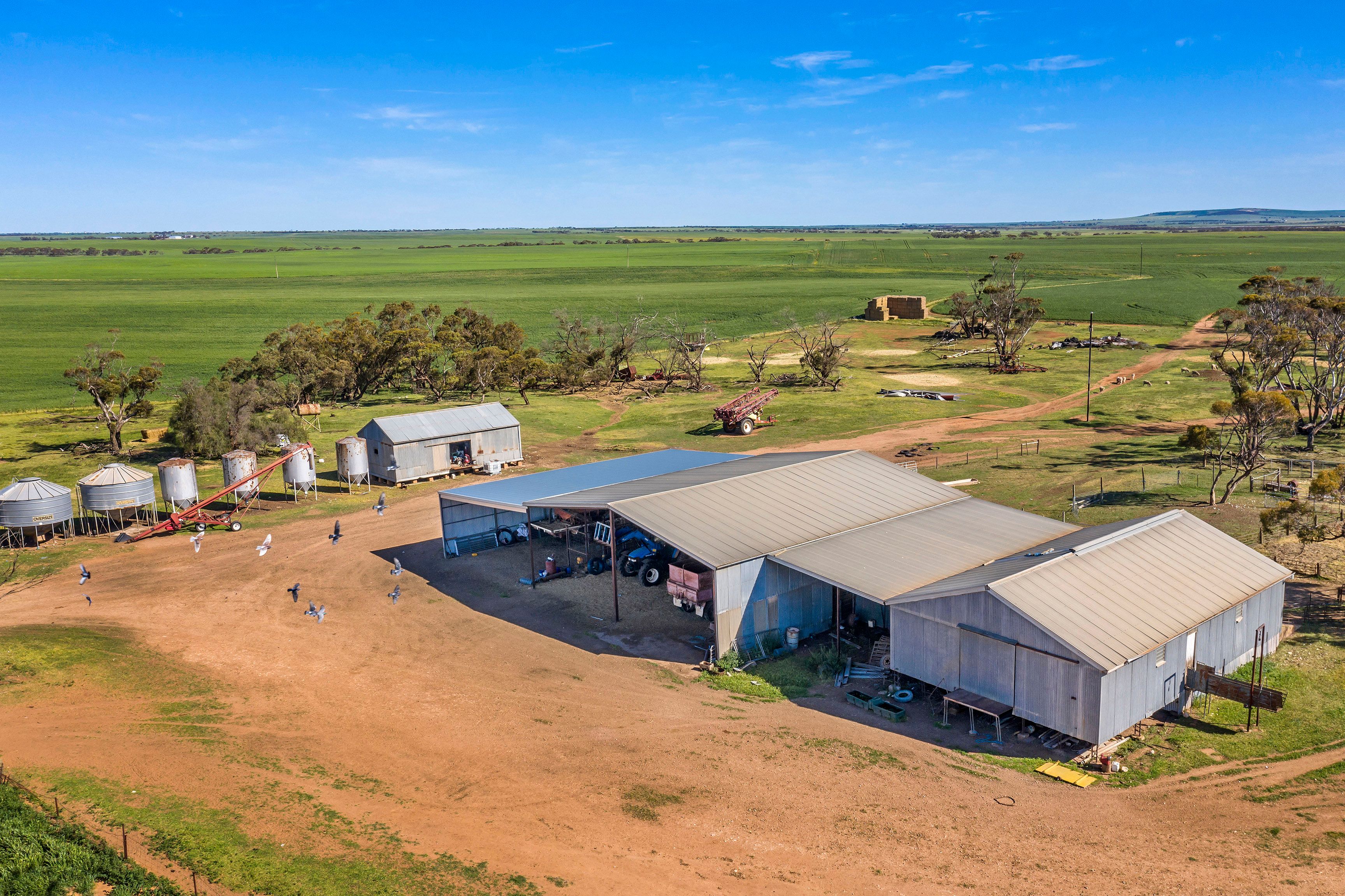 'Standpipe' Wanappe Road, Halbury, SA 5461 Sold Rural Cropping