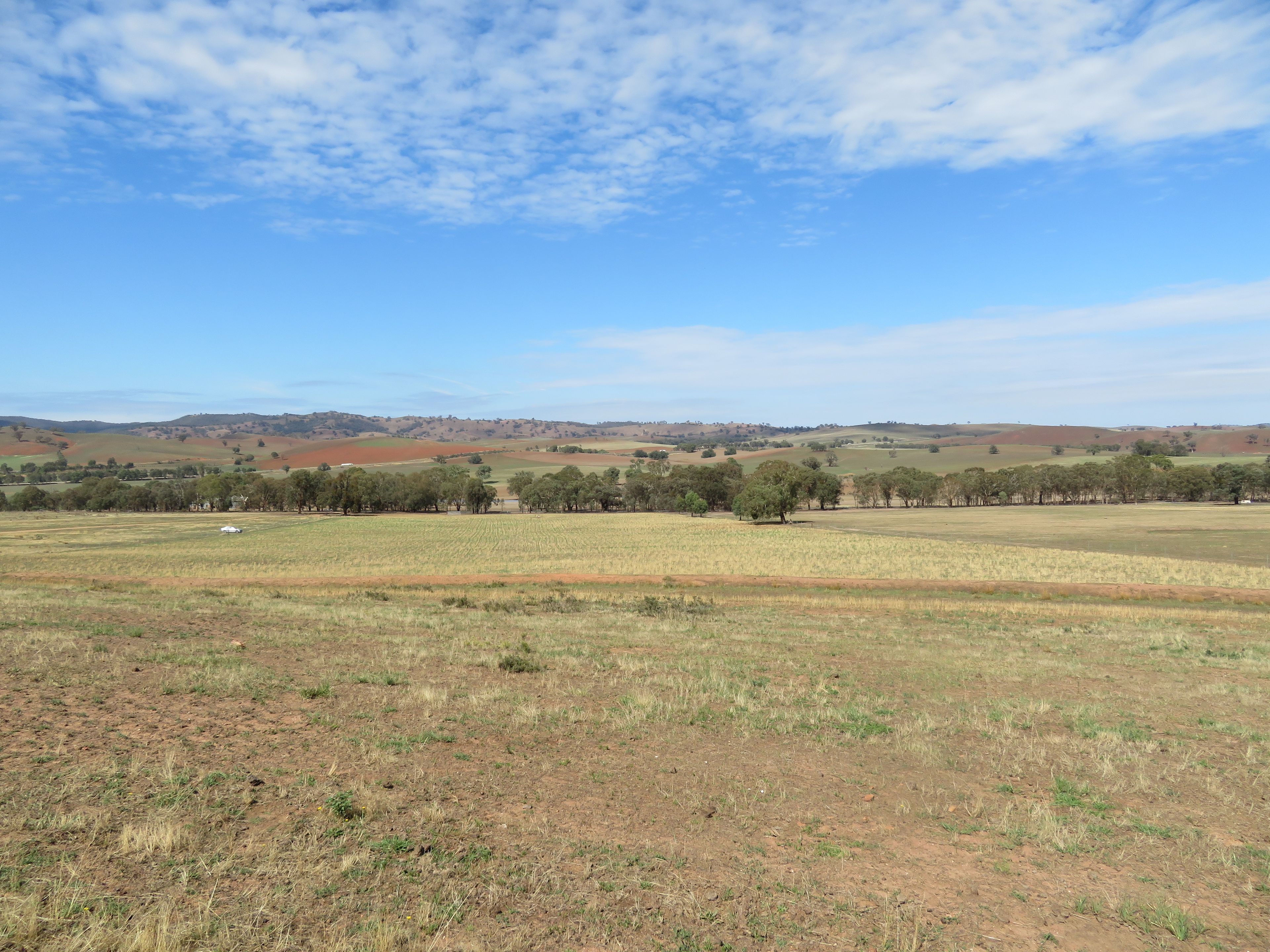 Lot 4 Old Hume Highway (Mundarlo Rd), Tumblong, NSW 2729