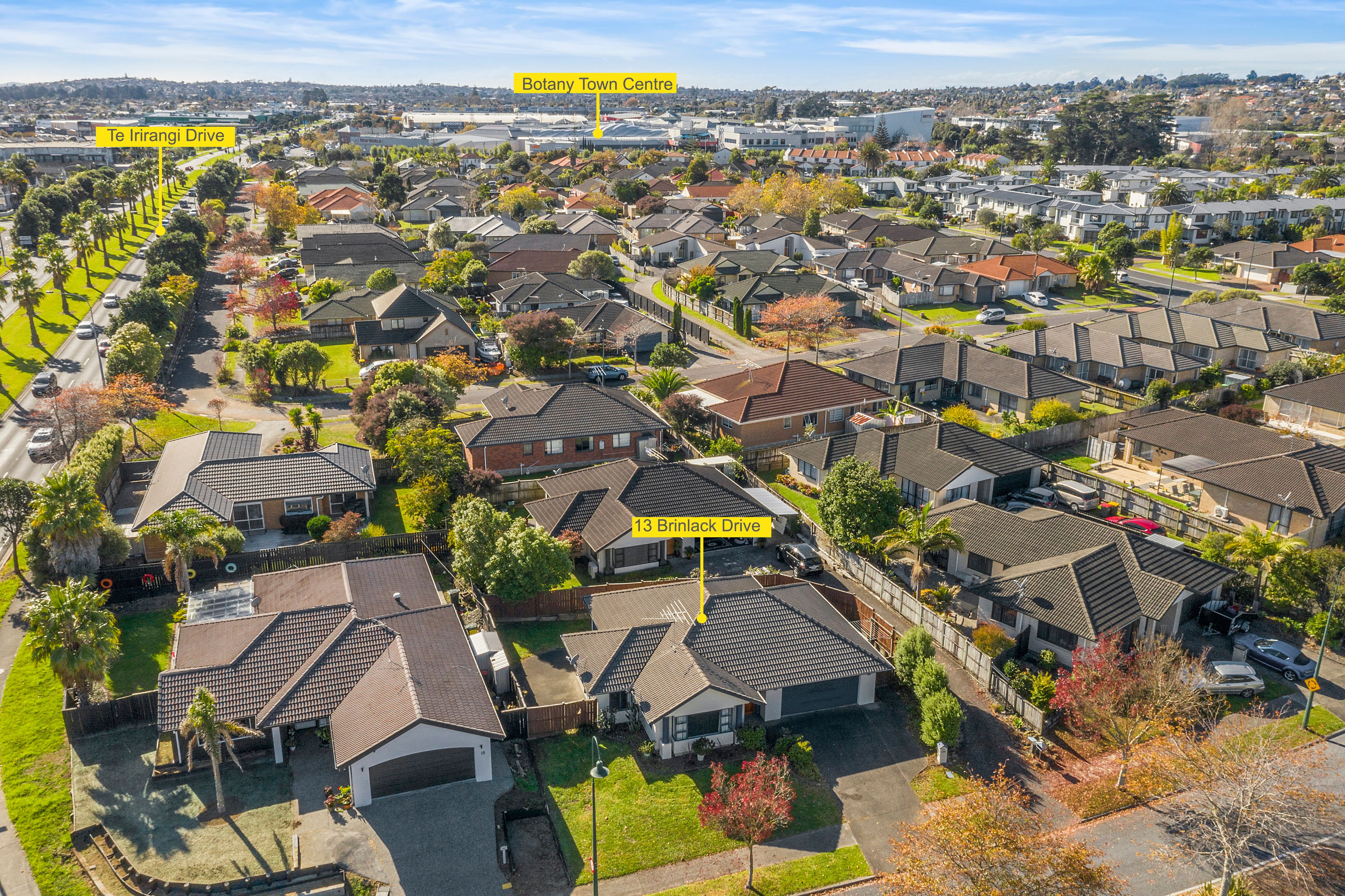 13 Brinlack Drive, Dannemora, Manukau City
