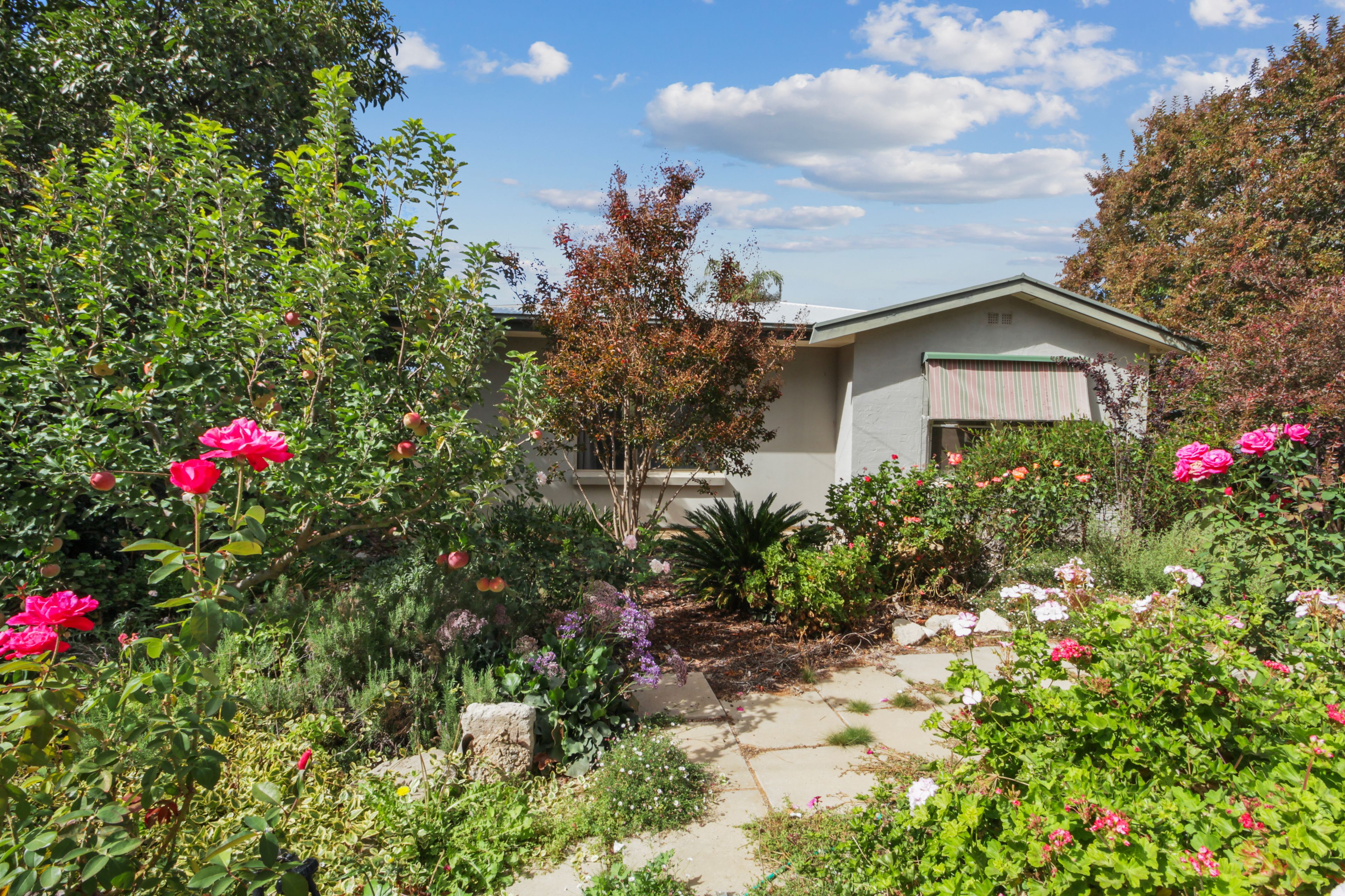 3 Quondong Street, Renmark, SA 5341 House for Sale Ray White Riverland