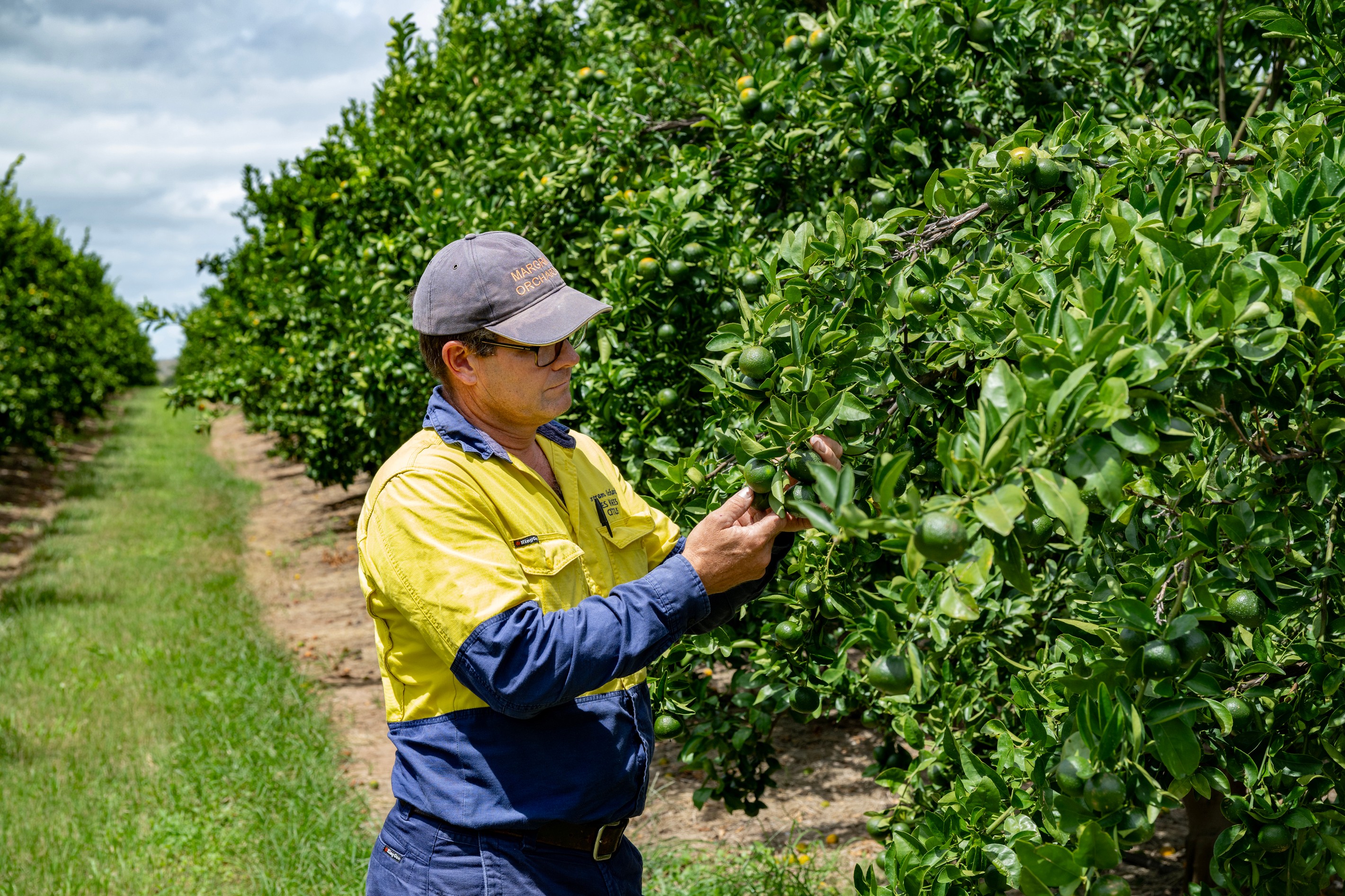100 Sandersons Lane, Mundubbera, QLD 4626