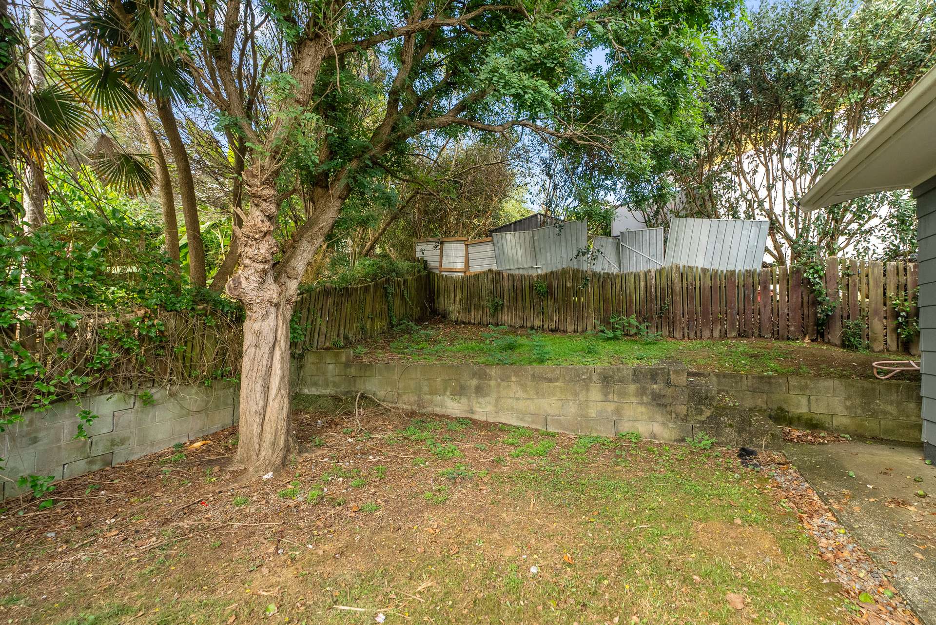 19 Totara Place photo 5