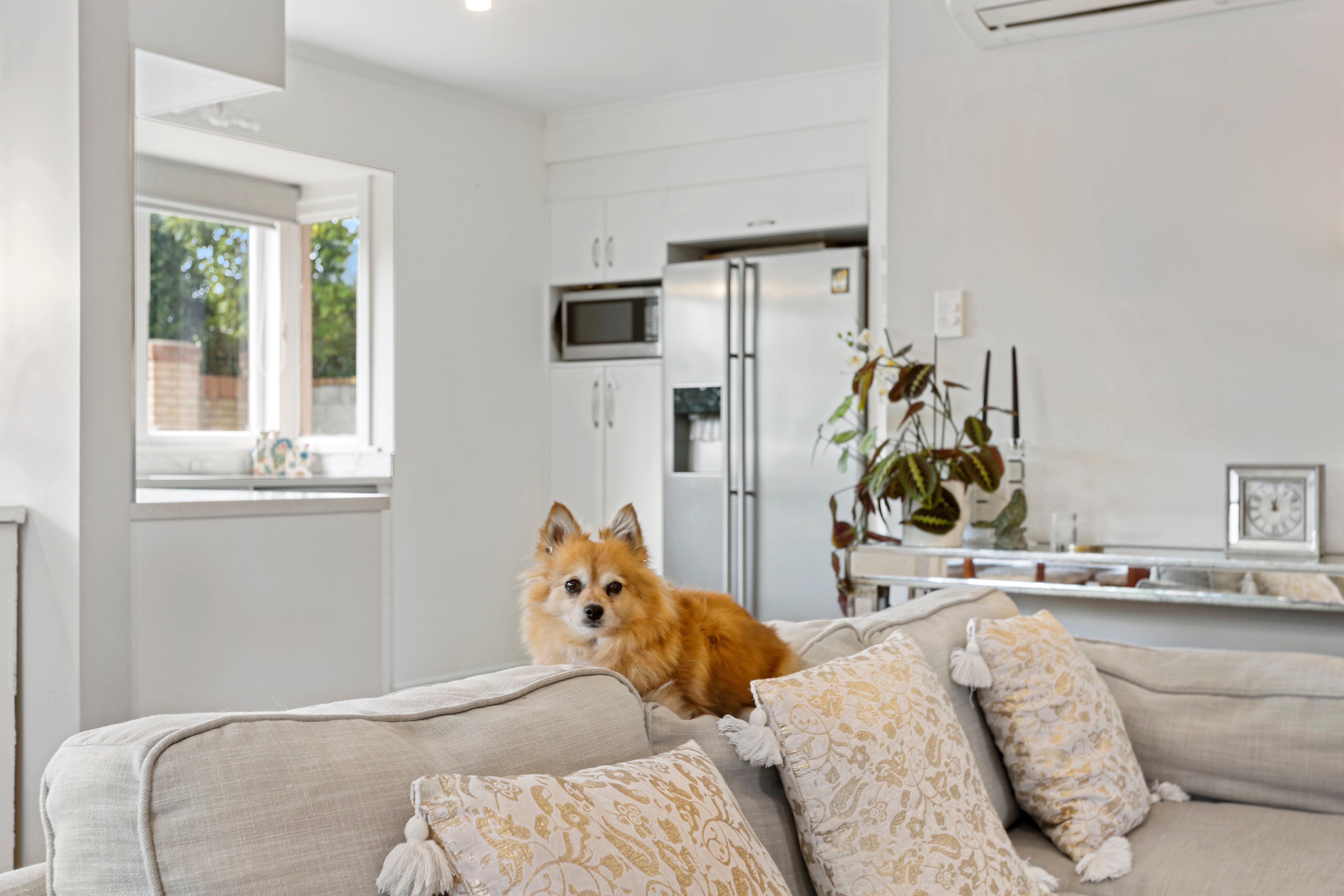 42 Roseberry Avenue, Birkenhead, North Shore City 0626 Sold House