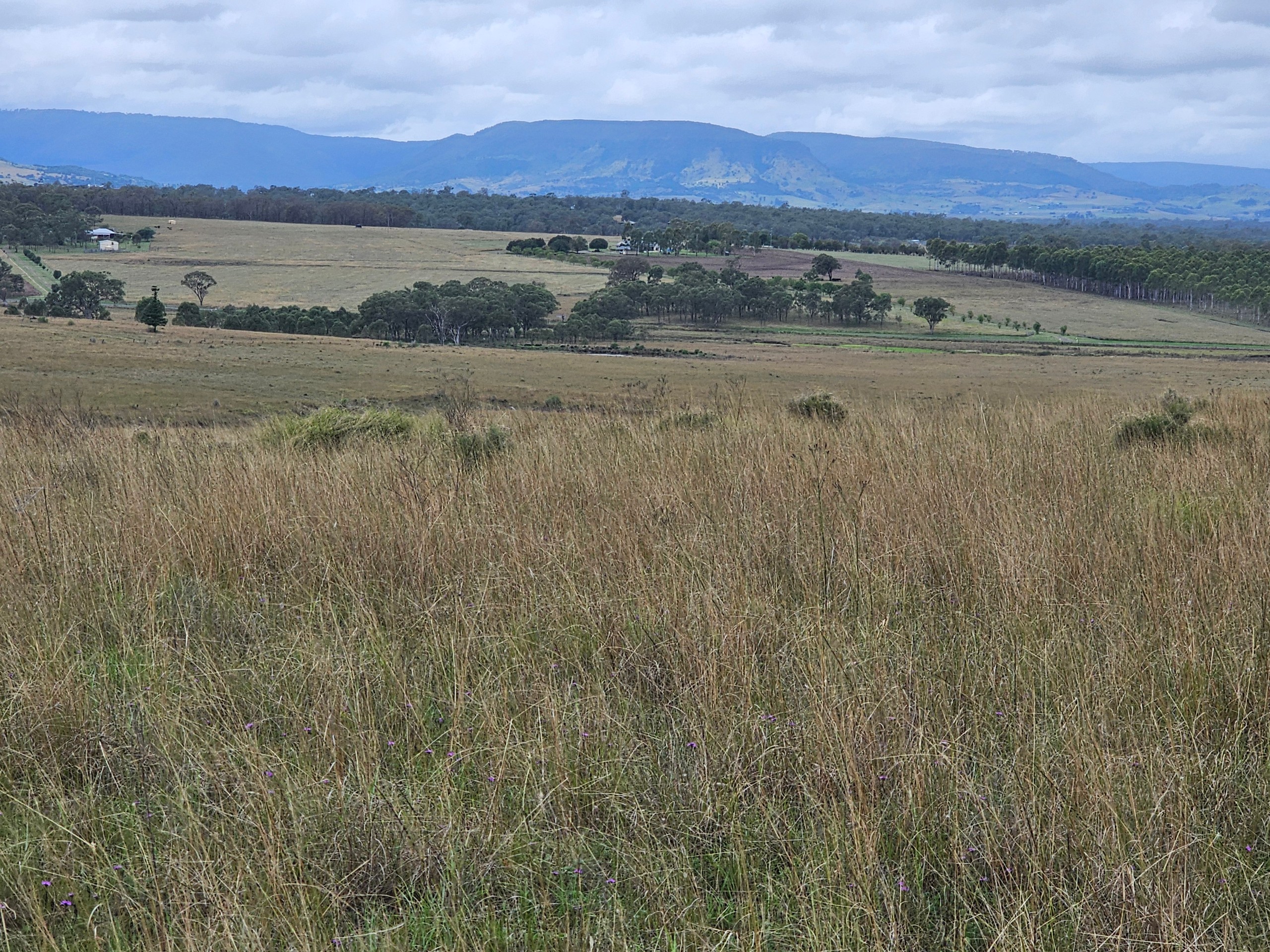 0 Jack Smith Gully Road, Swan Creek, QLD 4370