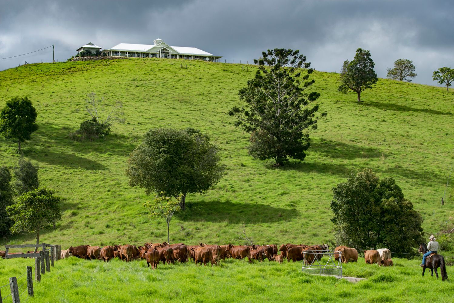 24 Duncan Road, Mount Mee, QLD 4521