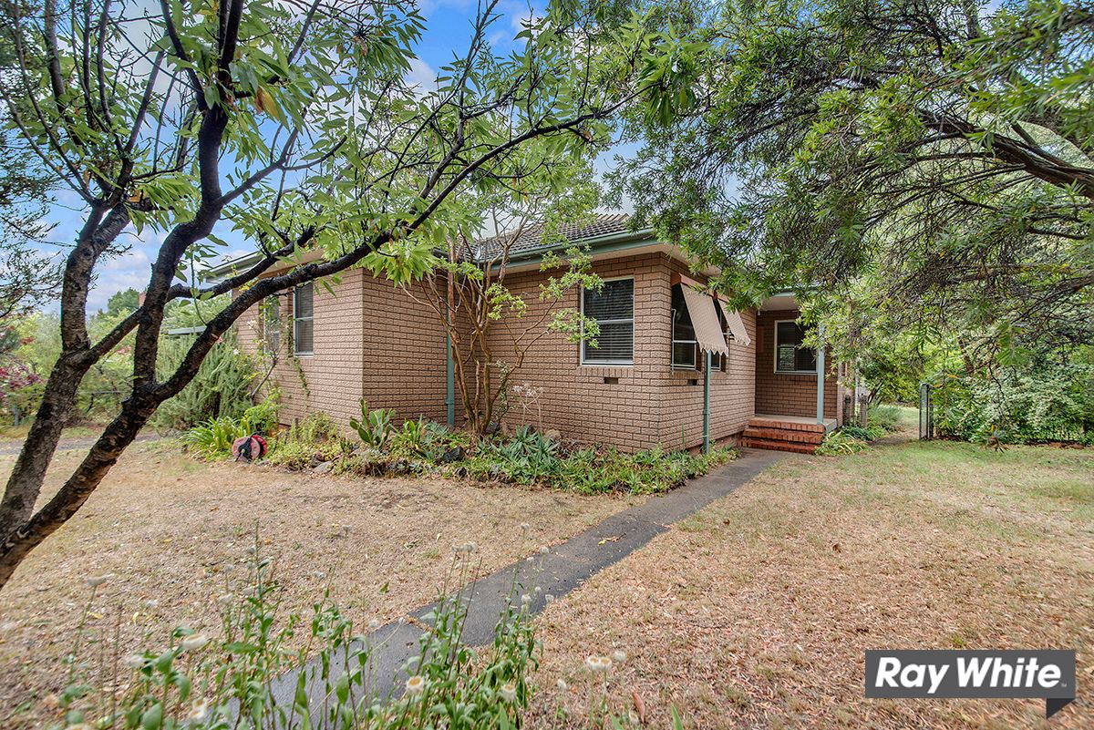 17 Jarrah Street, O'Connor ACT 2602