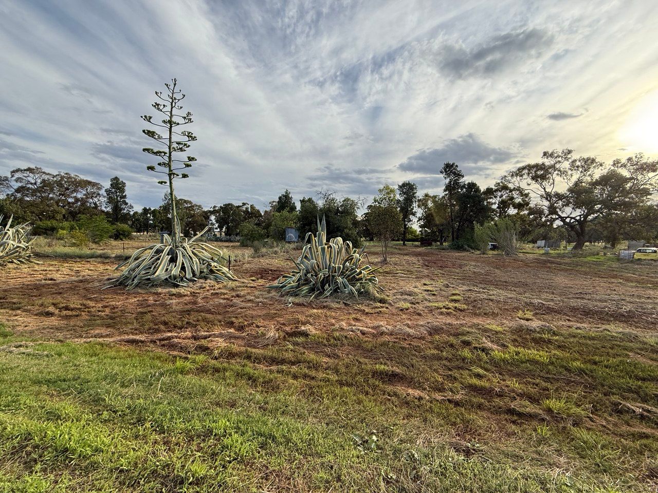 Lot 126 and 127 The Bogan Way, Gunningbland, NSW 2876