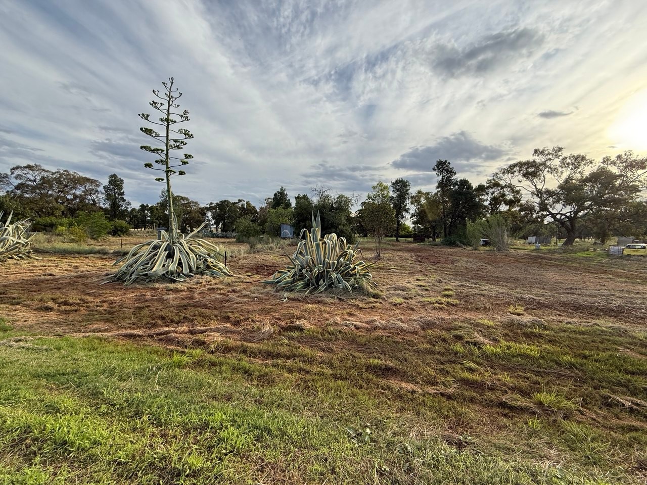 Lot 126 and 127 The Bogan Way, Gunningbland, NSW 2876