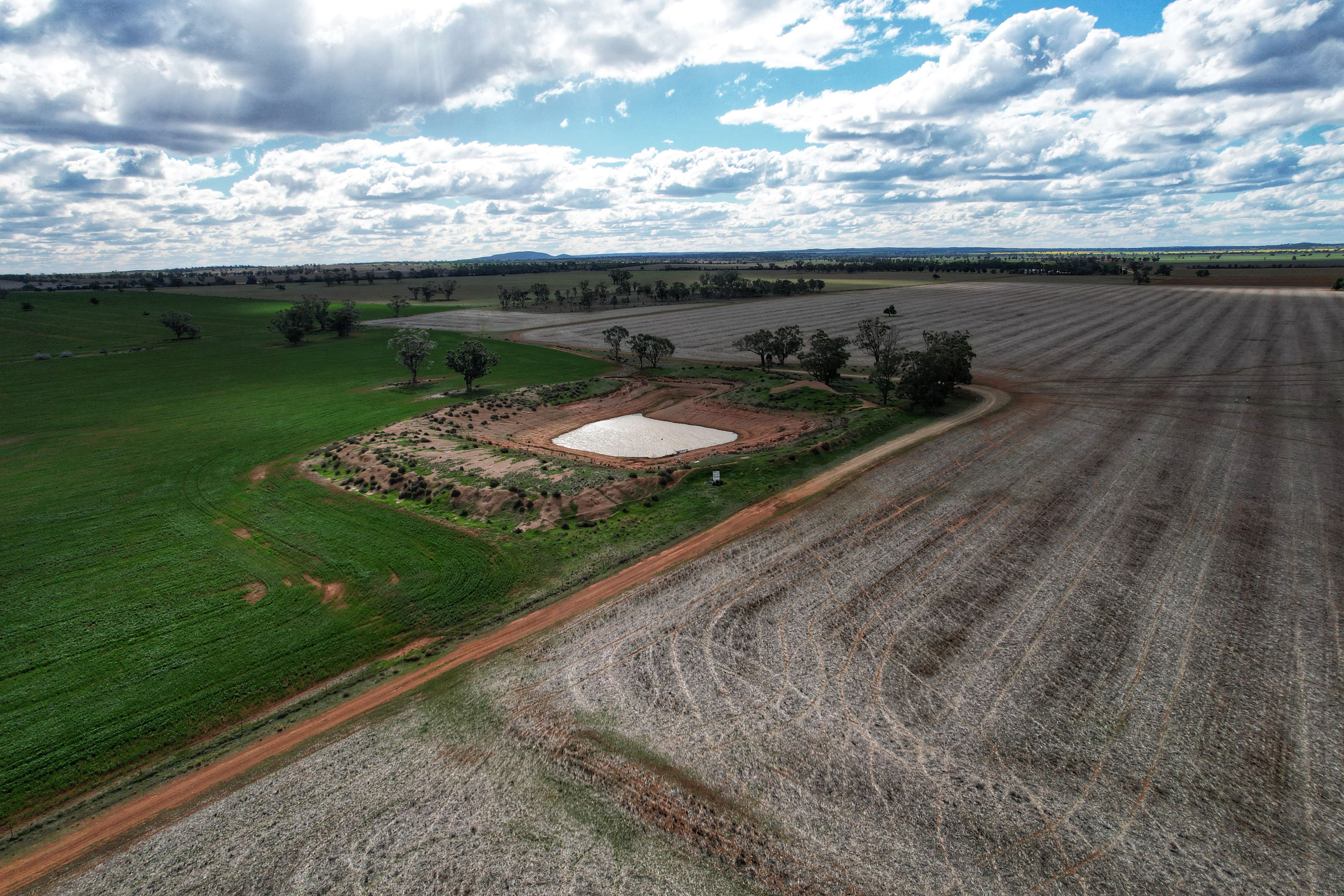 329 Ootha North Road, Ootha, NSW 2875