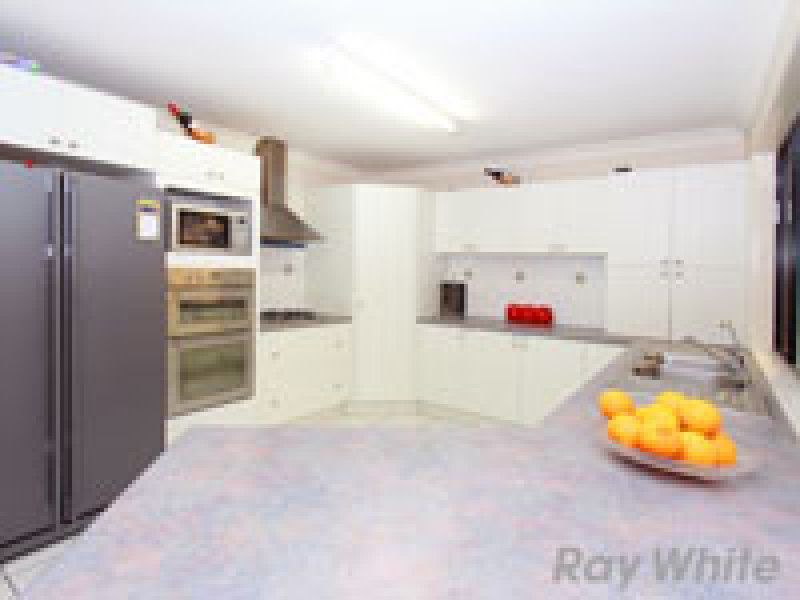 97 Halleys Crescent, Bridgeman Downs, QLD 4035