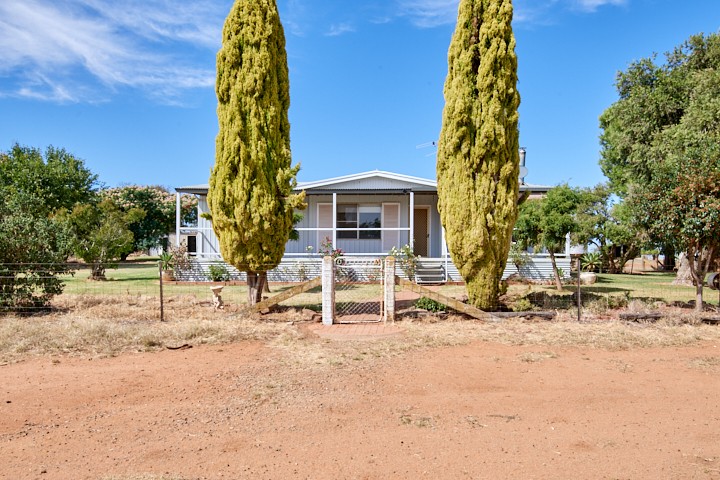 1133 Murrulebale Road, Old Junee, NSW 2652