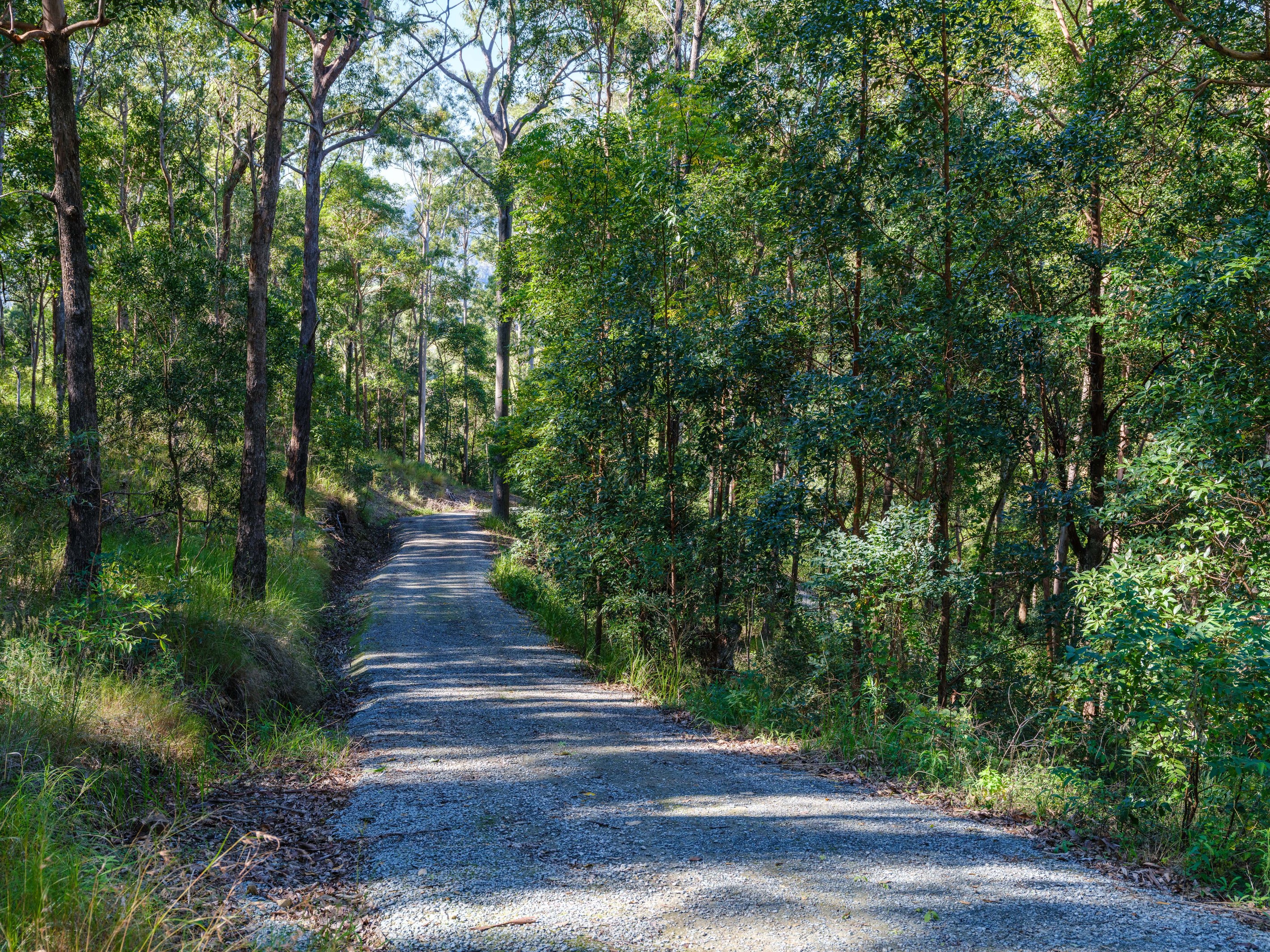 Cedar Creek, QLD 4520