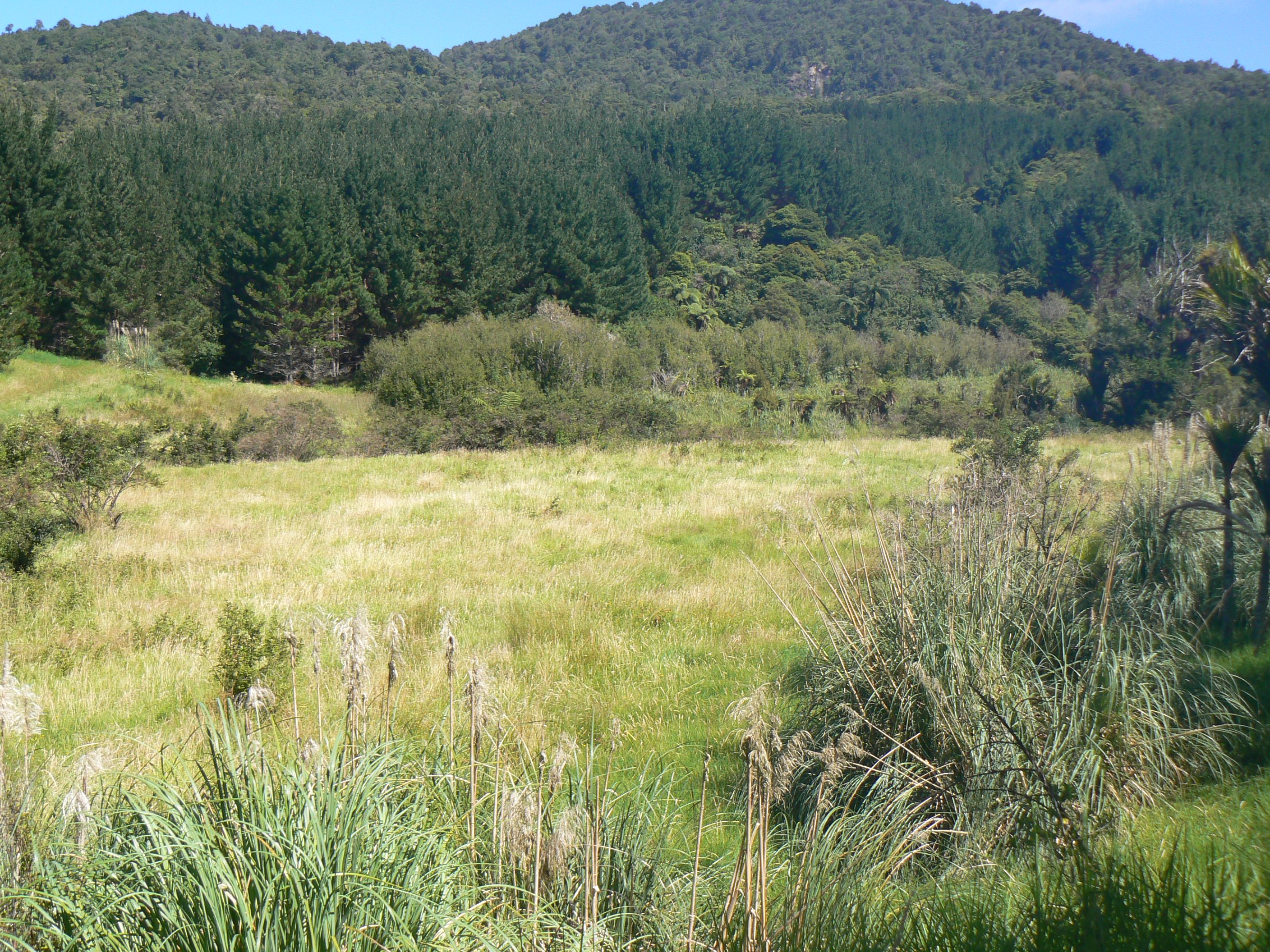 0/0 Takahue Saddle Road, Broadwood, Far North District