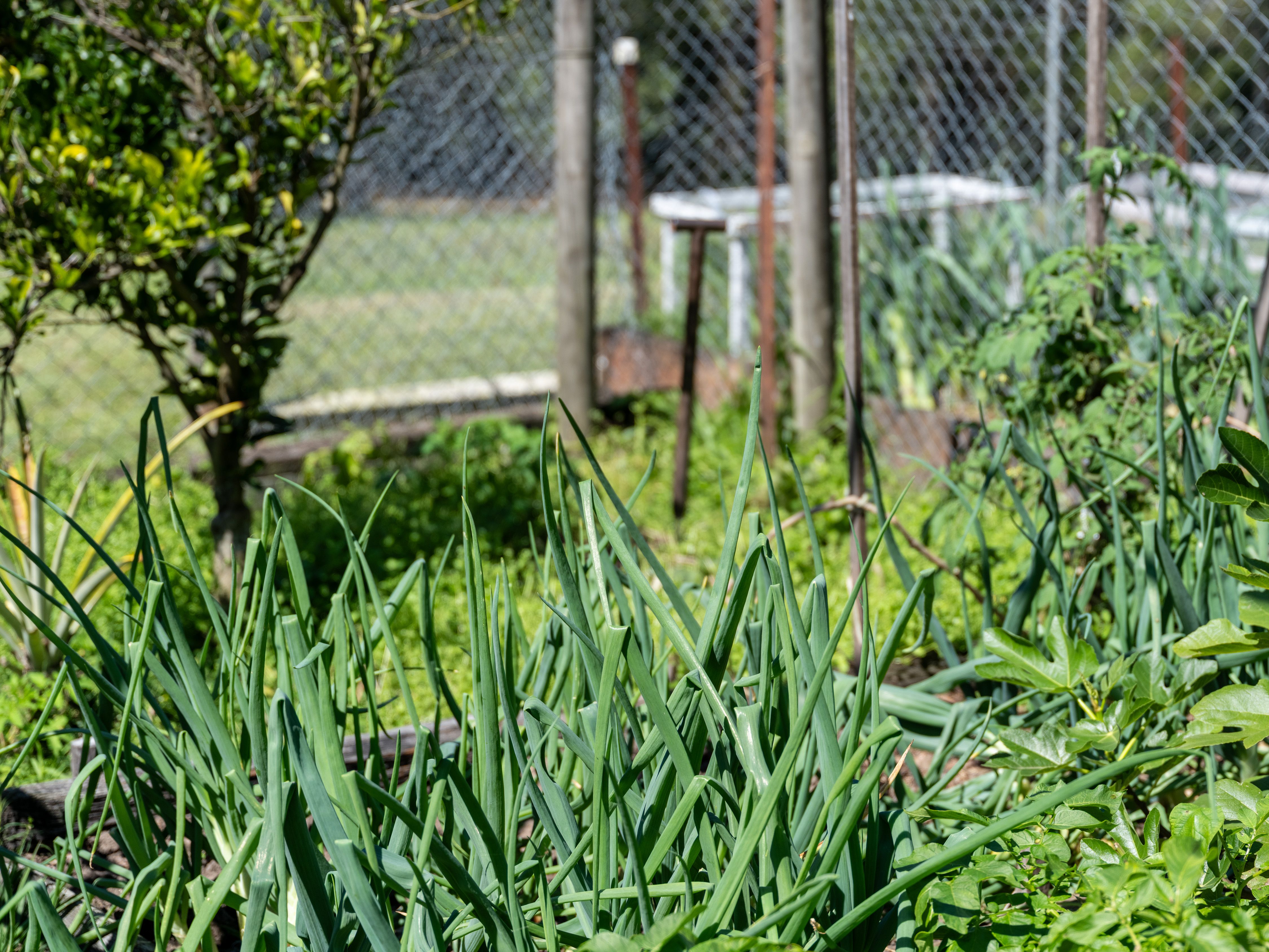 'Thytheholme' - Pringles Farm — photo 19 of 26