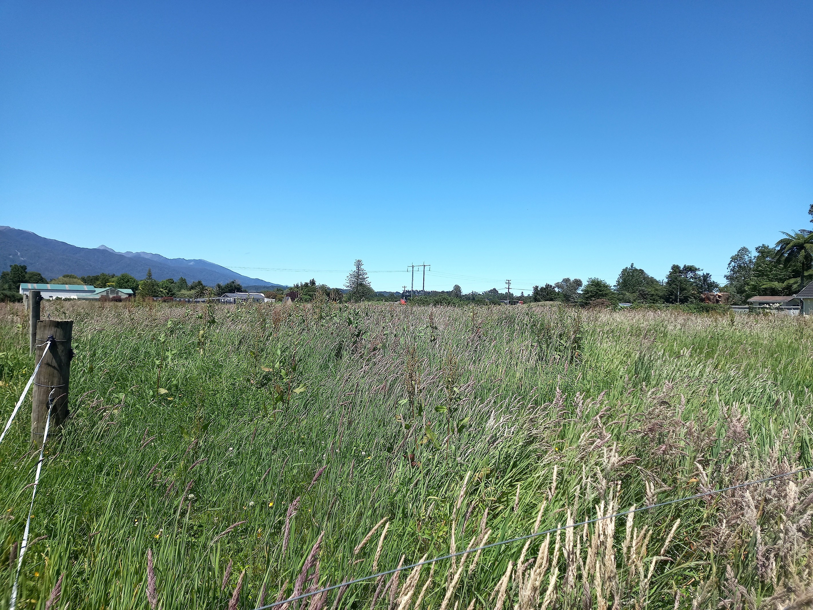 0 Stafford Street, Westport, Buller District