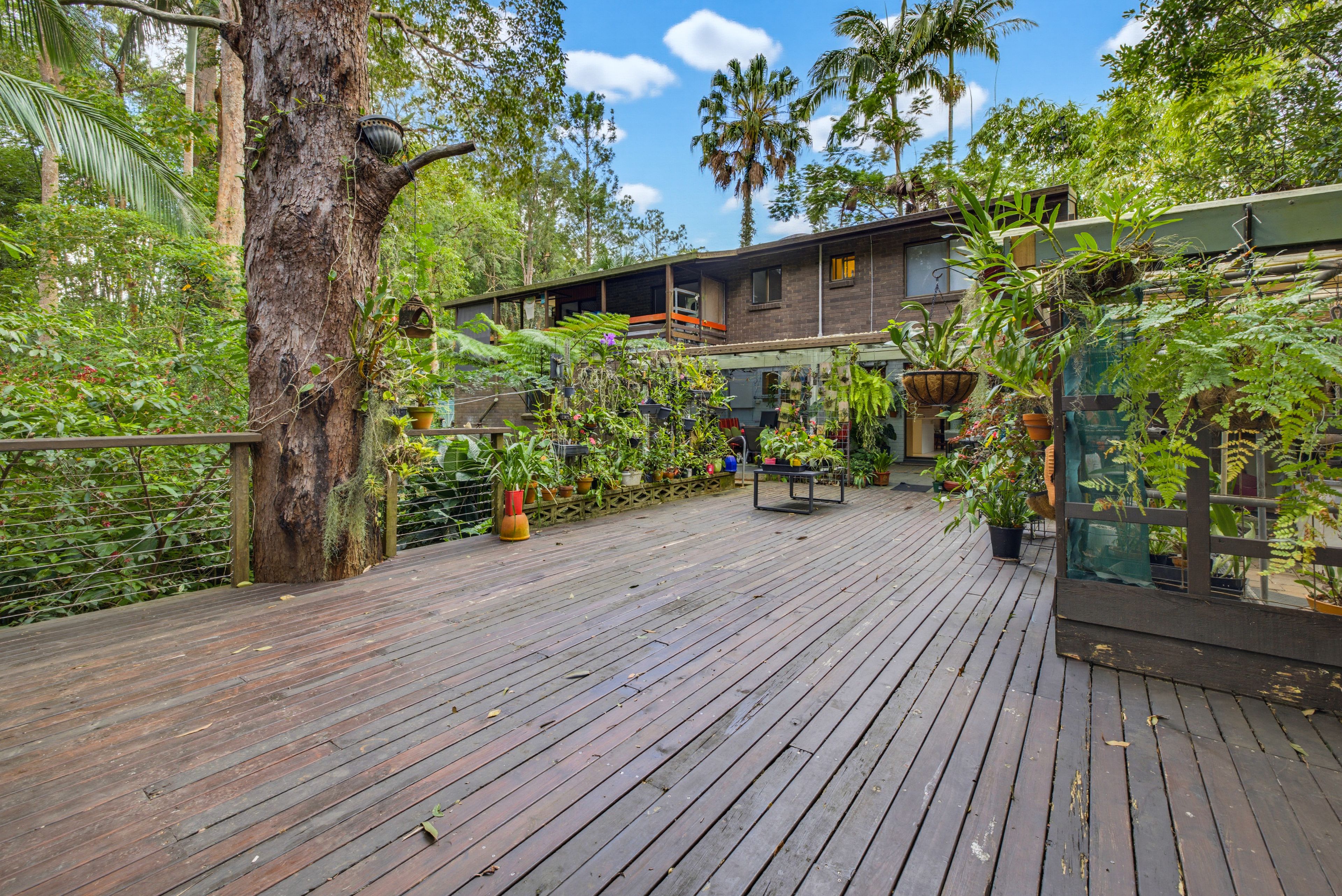 49 Wappa Falls Road, Yandina, QLD 4561