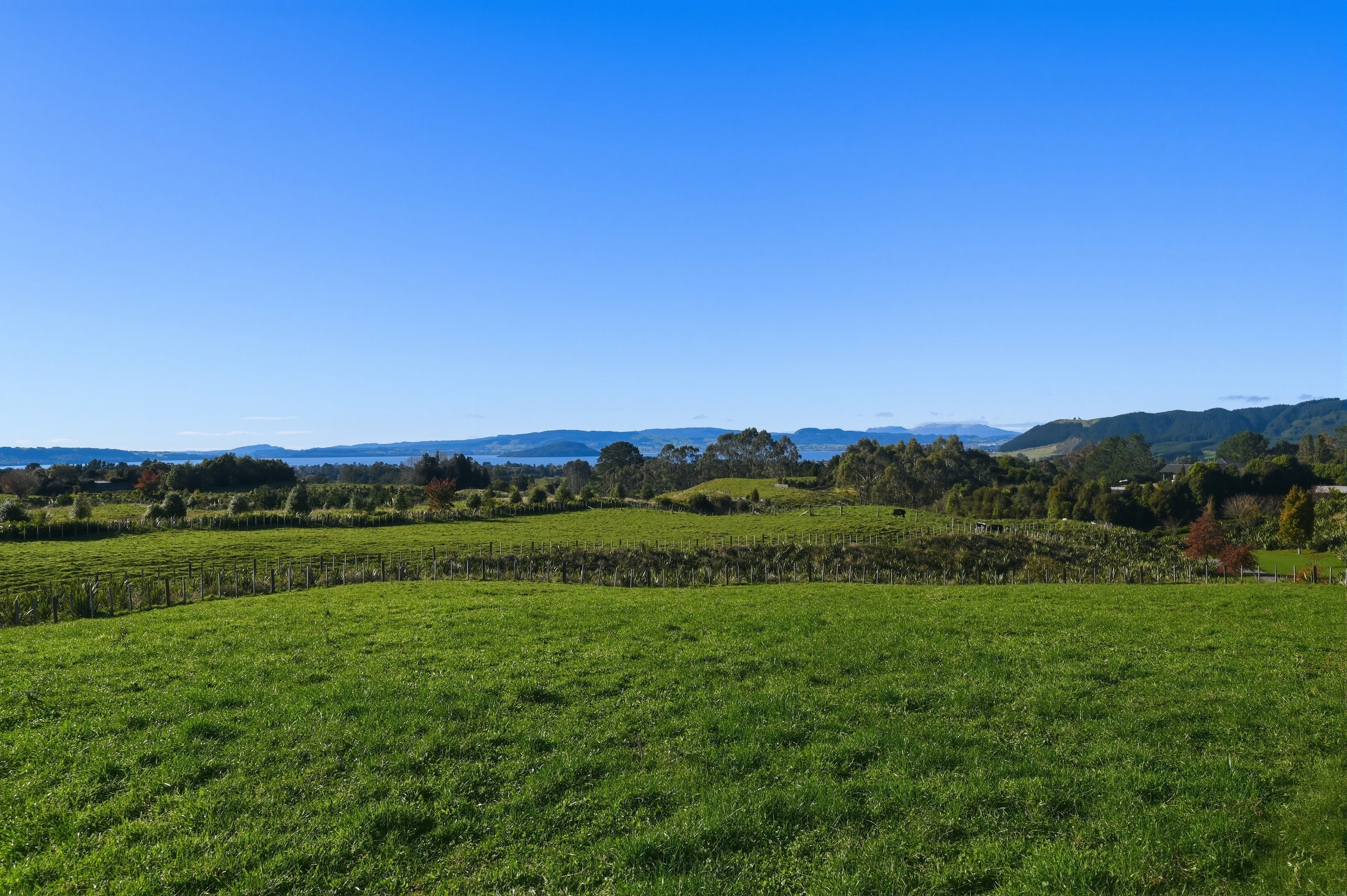 Lot 2 414H Dalbeth Road, Hamurana, Rotorua District