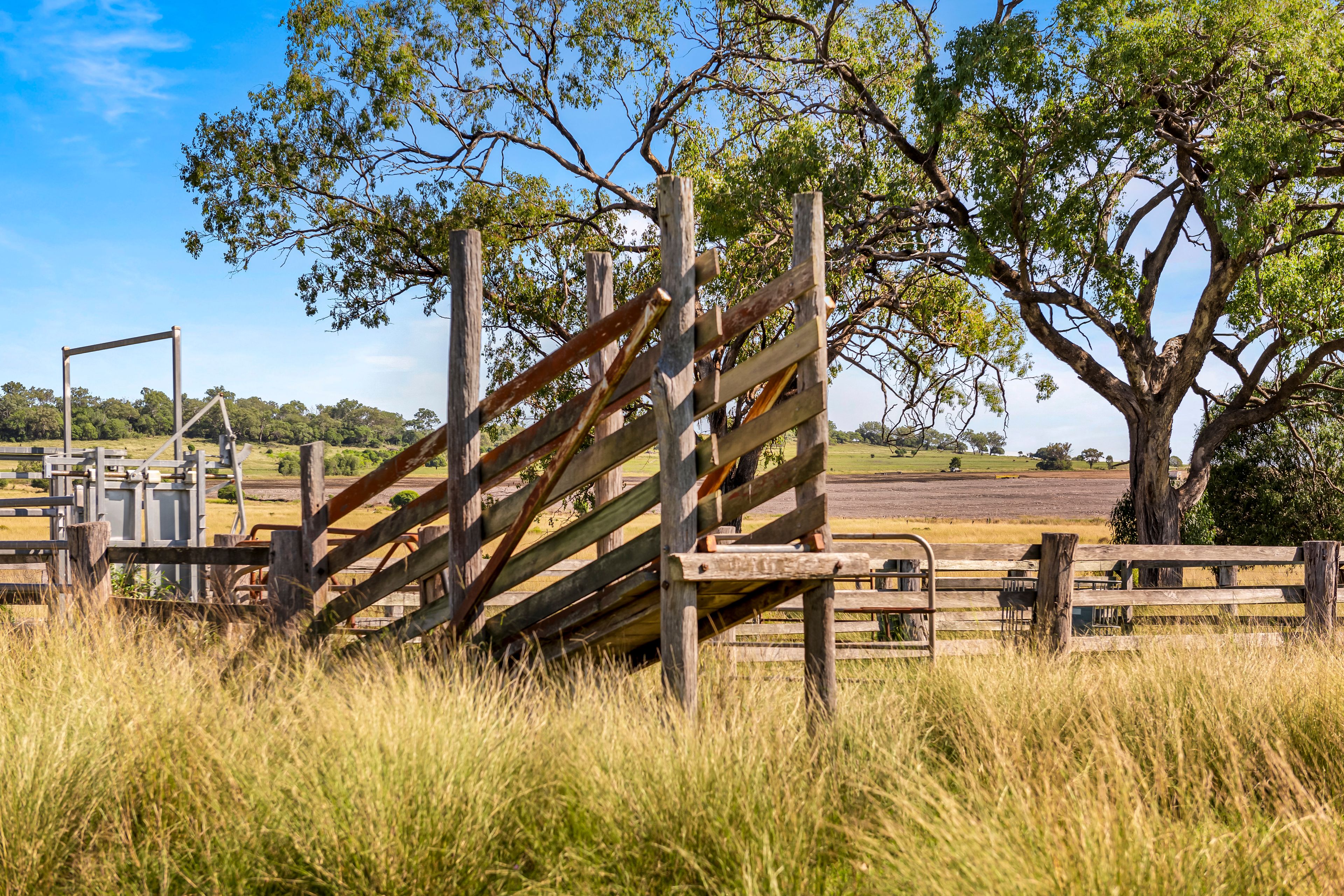 372 Hegarty Road, Ellangowan, QLD 4361 Rural Cropping Property for