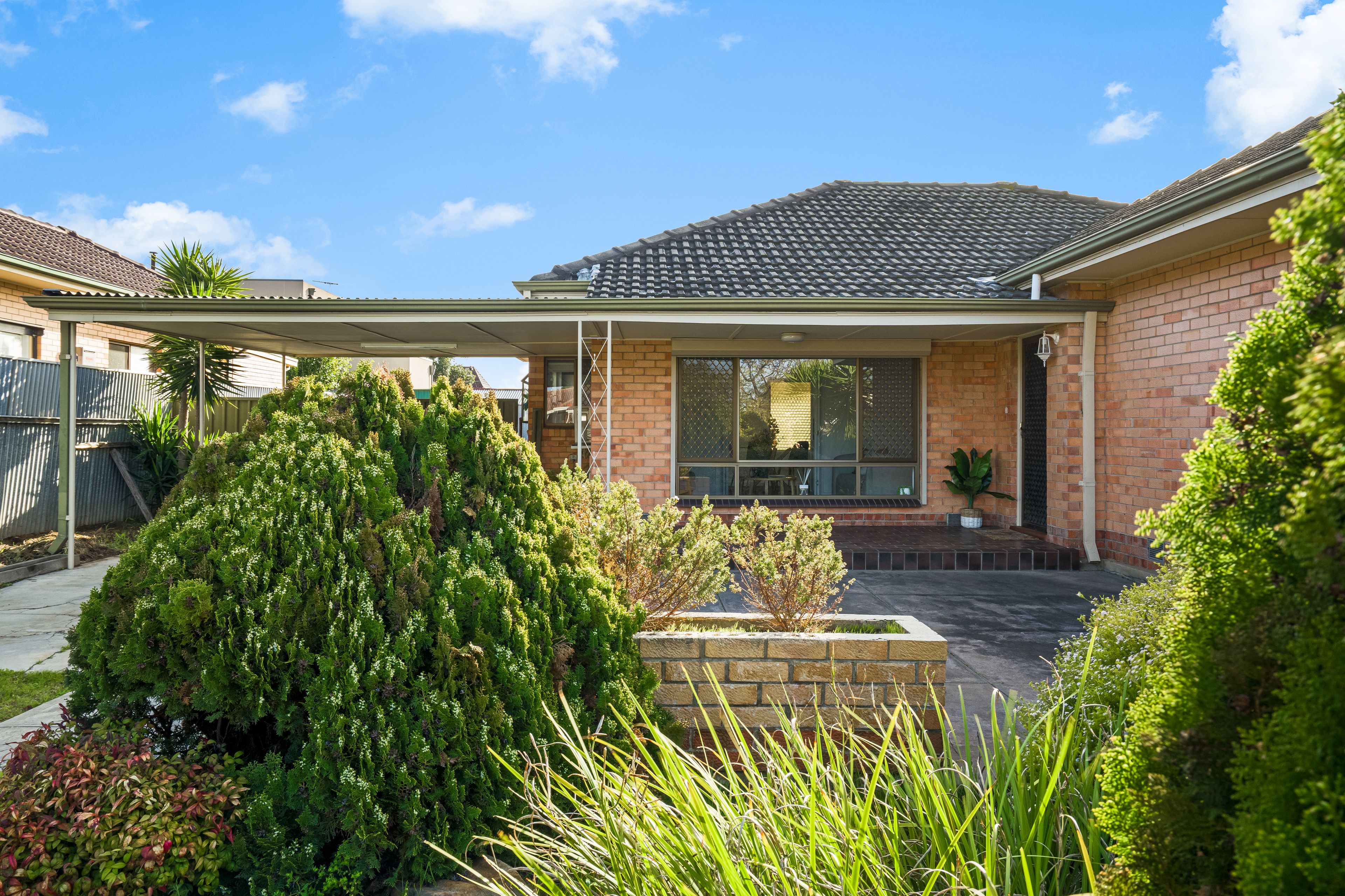 19 Montrose Avenue, Seaton, SA 5023