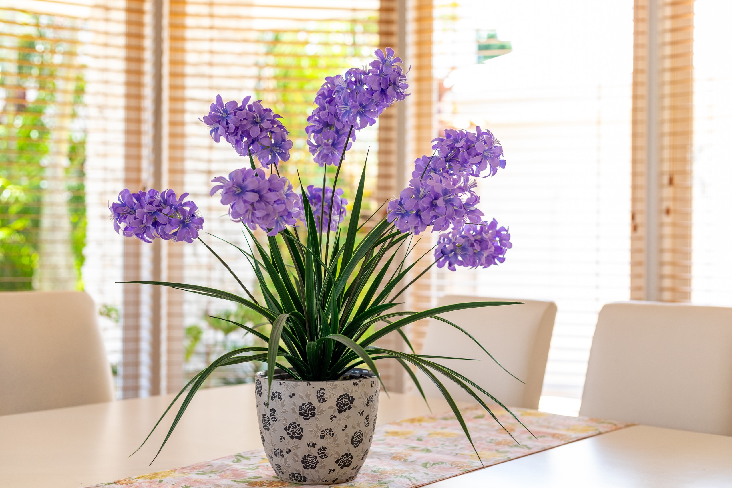 64 Gum Street, Warner, QLD 4500