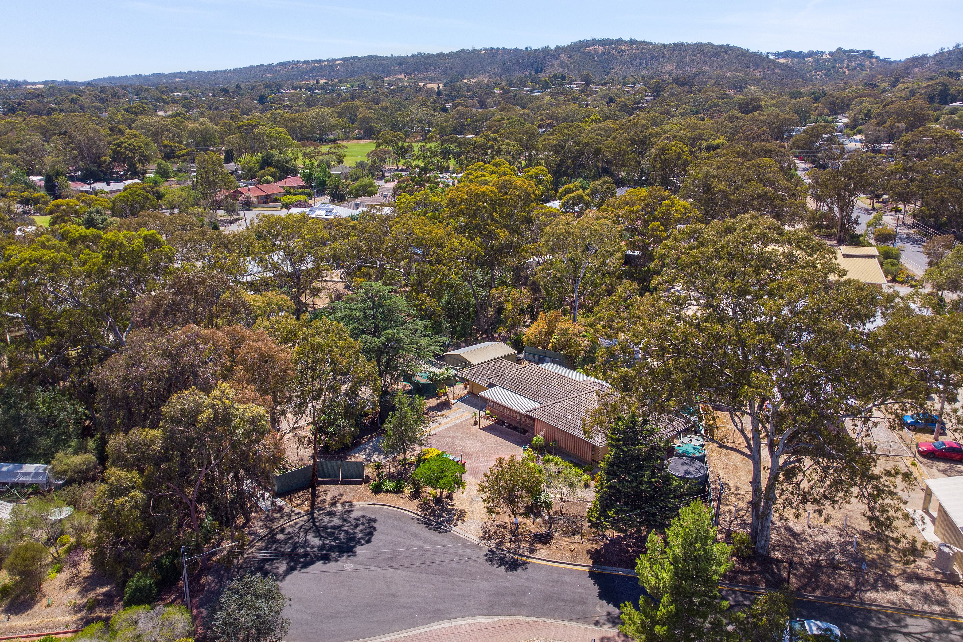1 Magnolia Court, Banksia Park, SA 5091