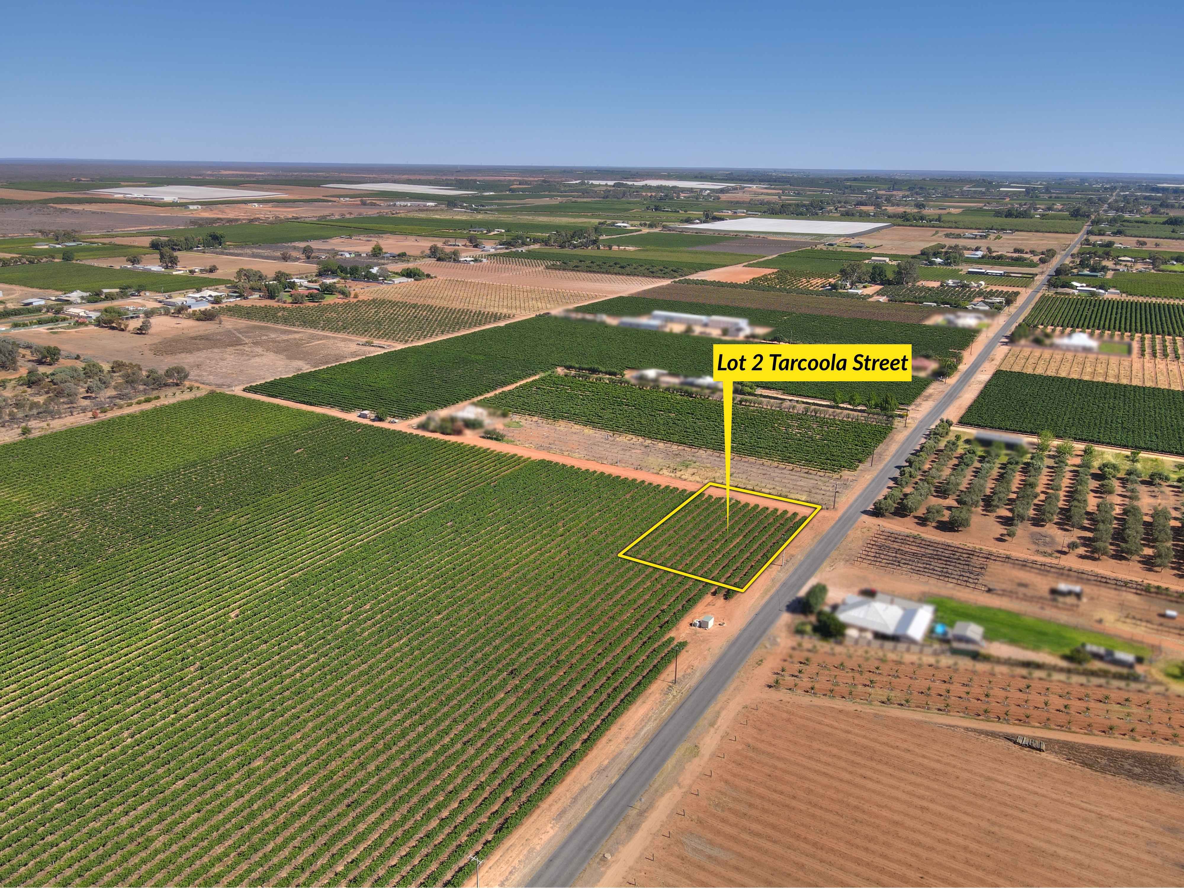 Lot 2 Tarcoola Street, Renmark, SA 5341