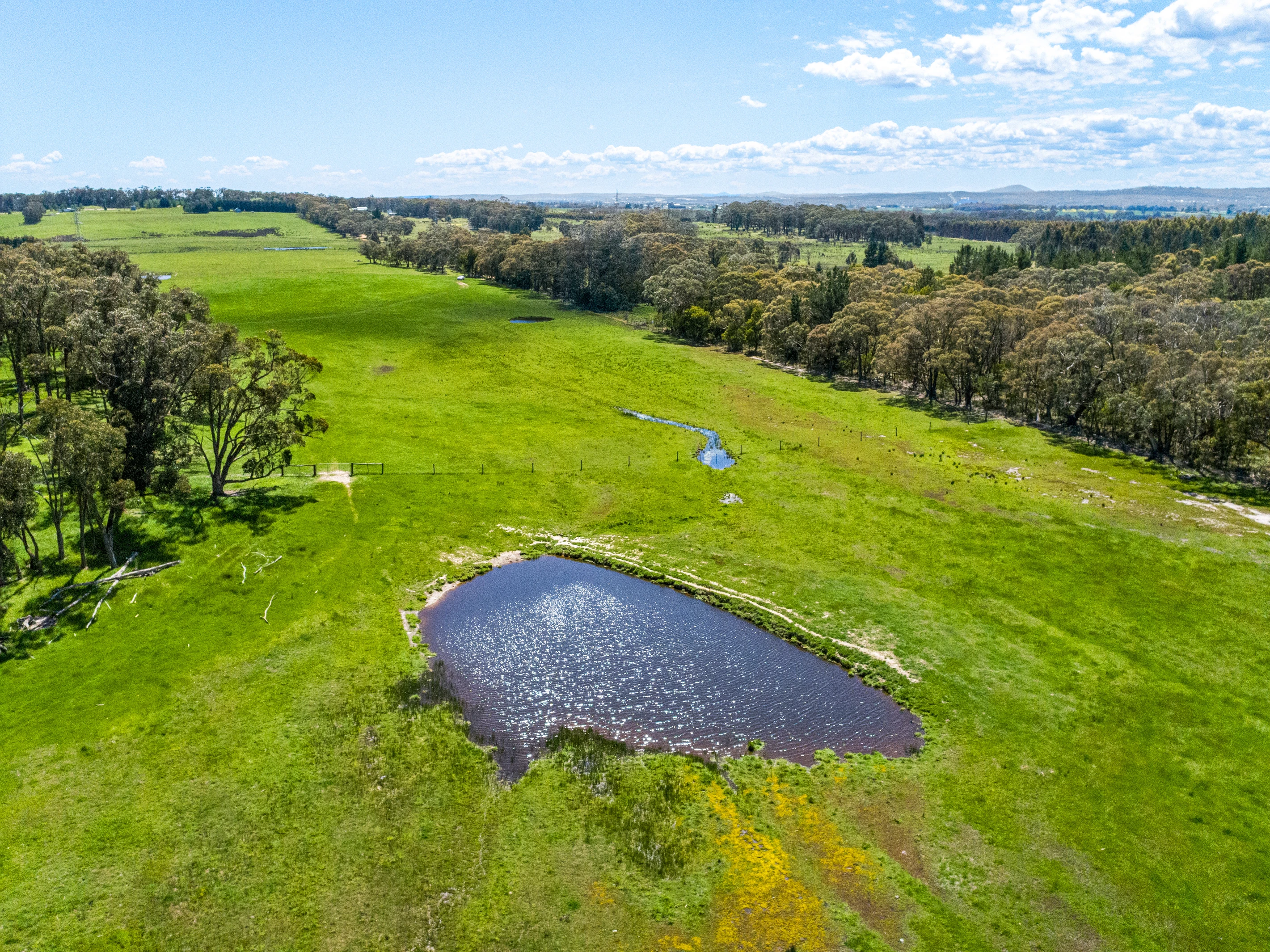 Napoleons, VIC 3352