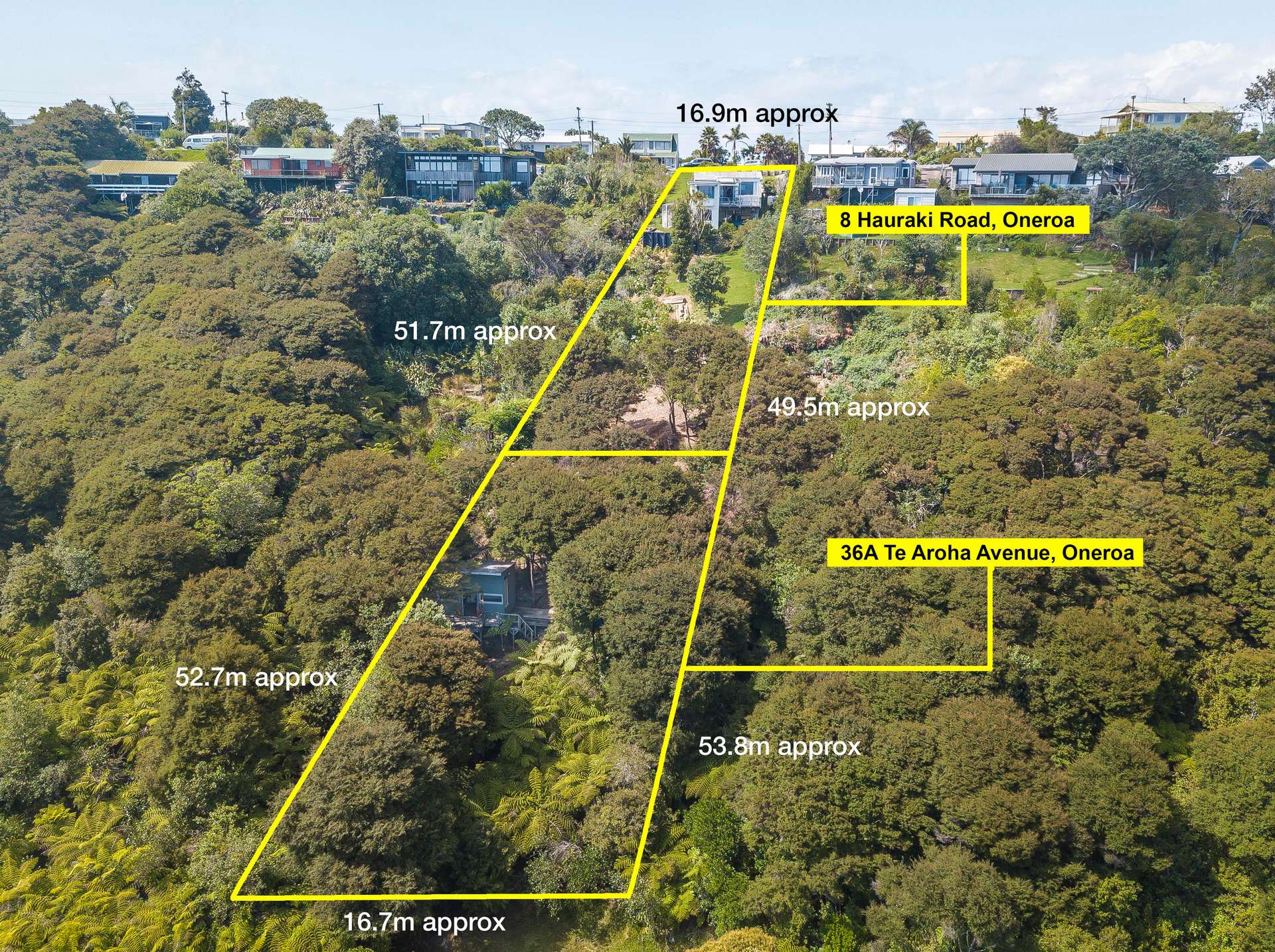 36A Te Aroha Avenue photo 6