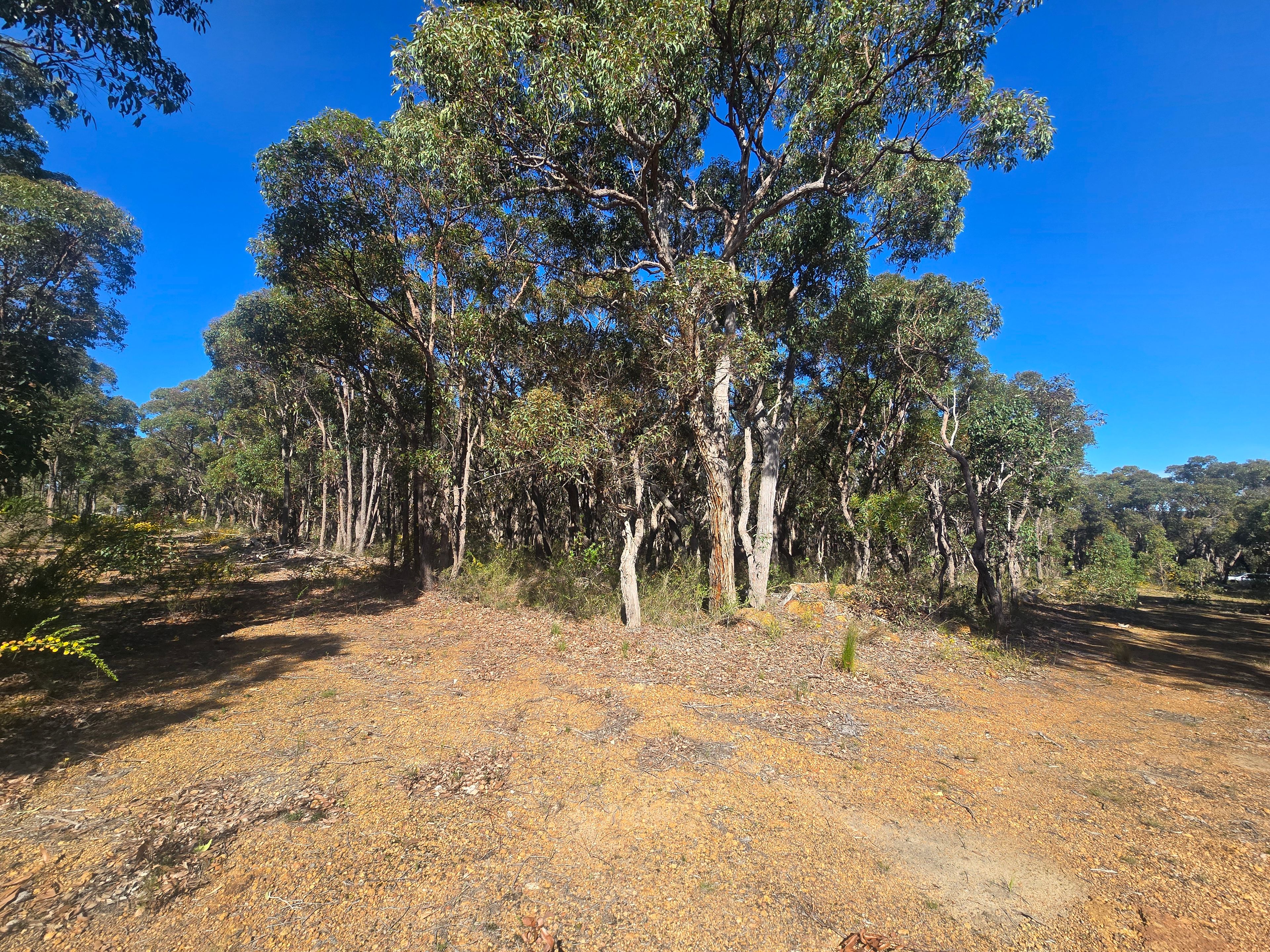 3 Dufty Place — photo 5 of 8