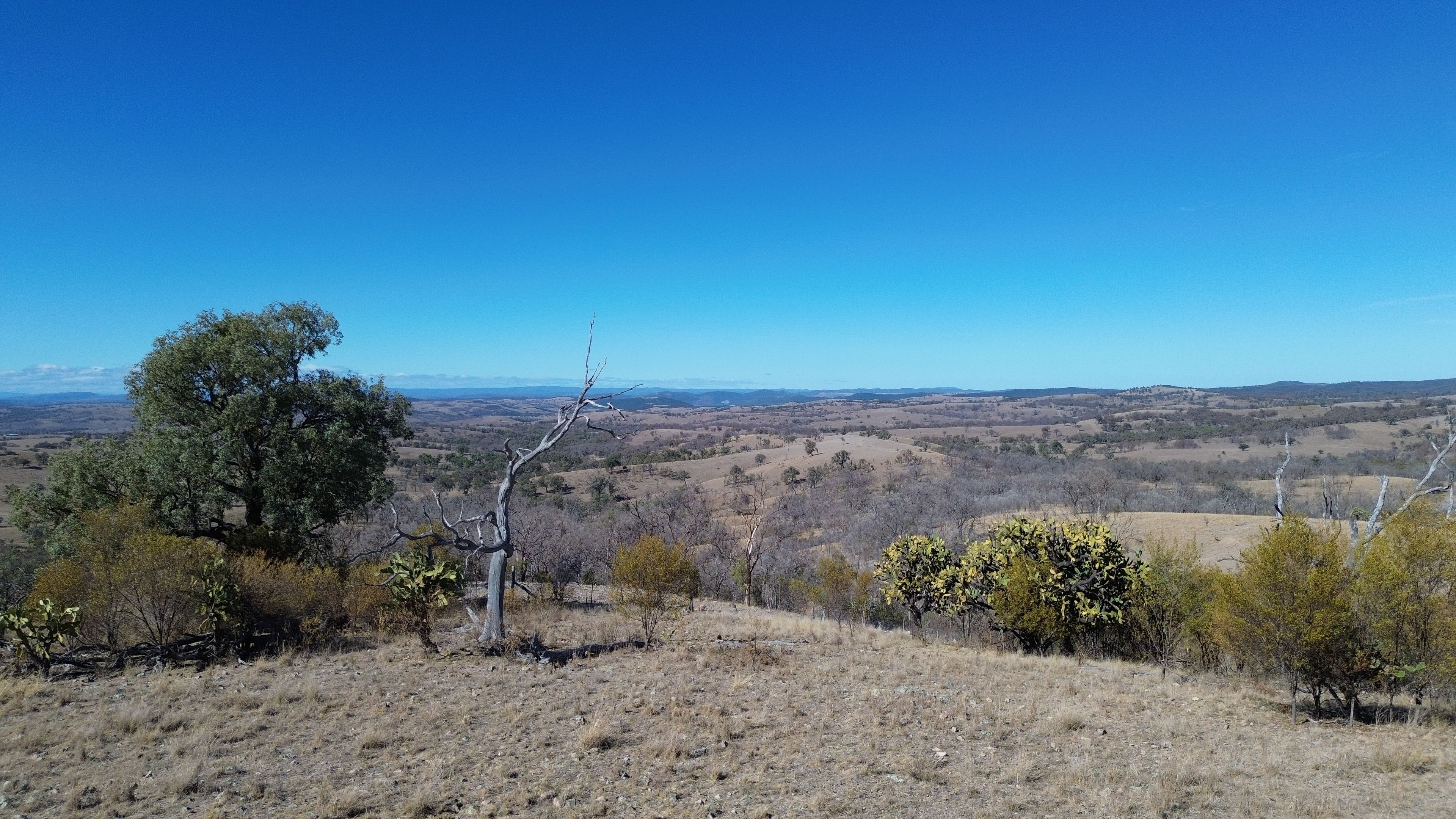 0 Texas Road — photo 21 of 30