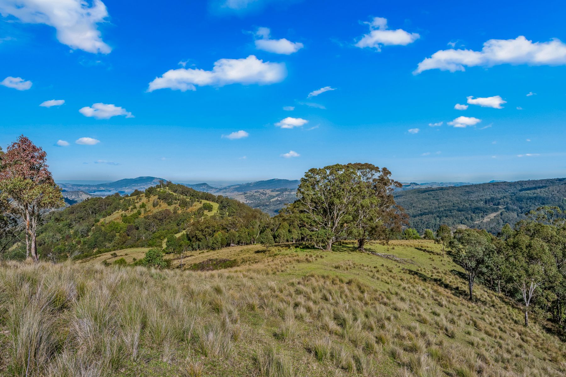 Lot 88, 2642 Off Carrowbrook Road — photo 20 of 28