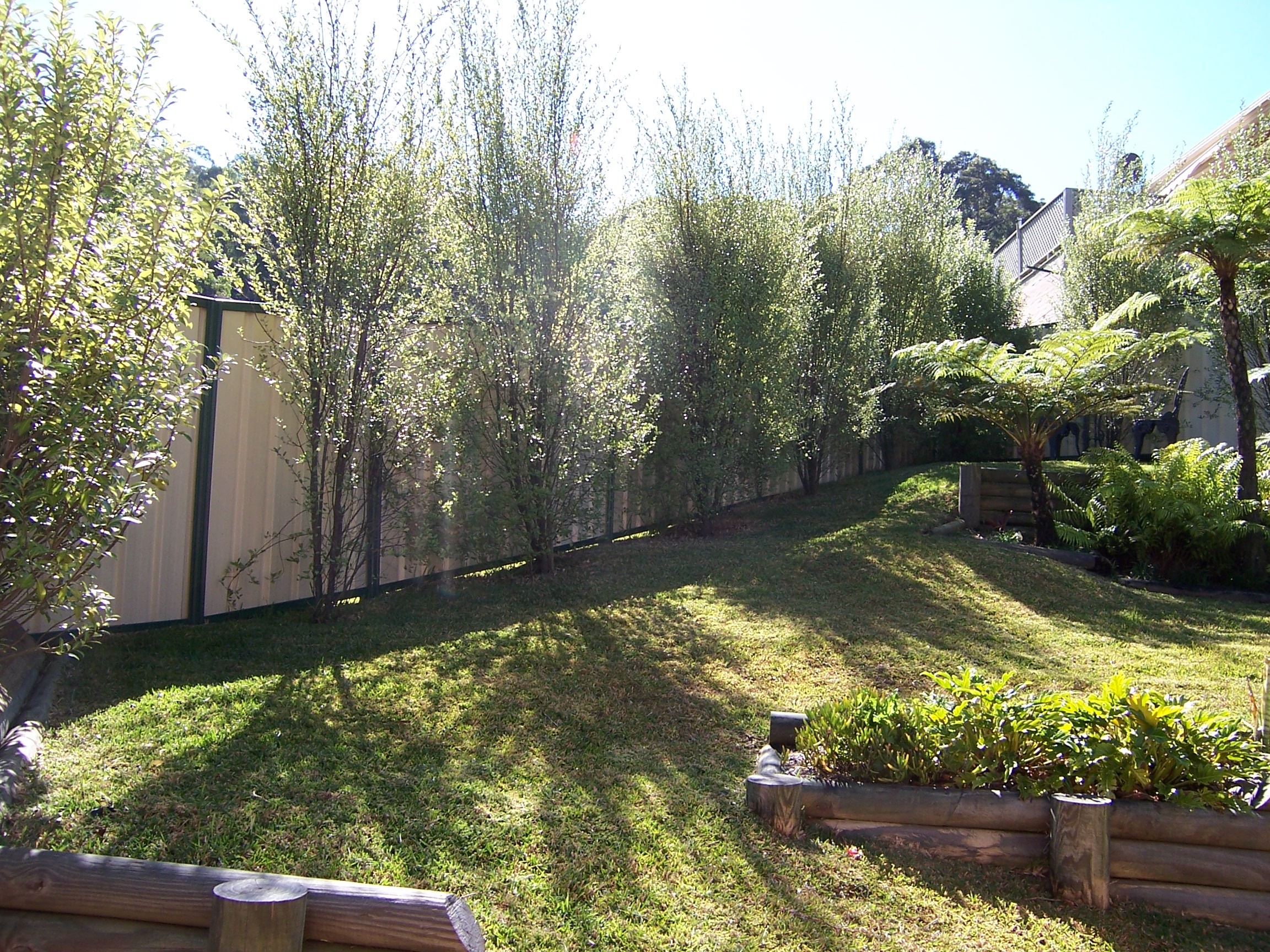 8 Wall Close, Charlestown, NSW 2290