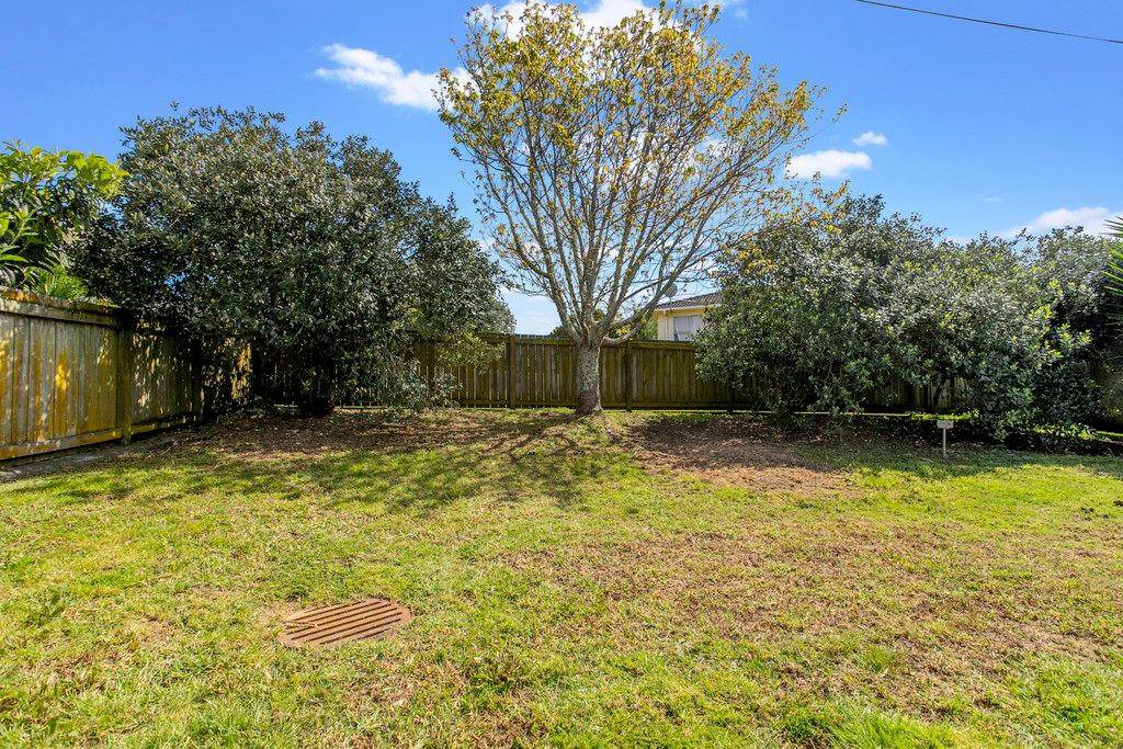 18 Lendic Avenue, Henderson, Waitakere City