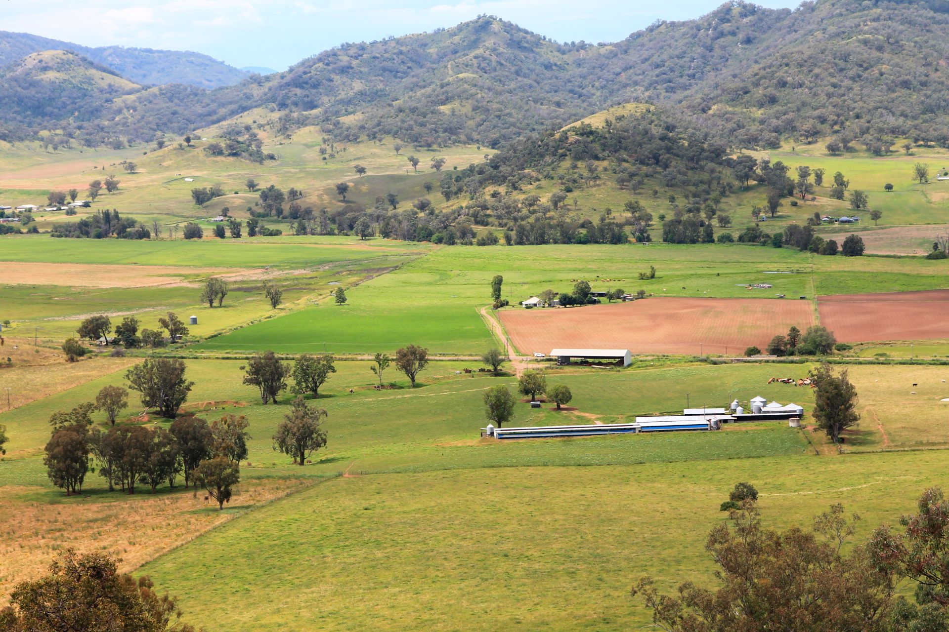 Ray White Rural and Livestock