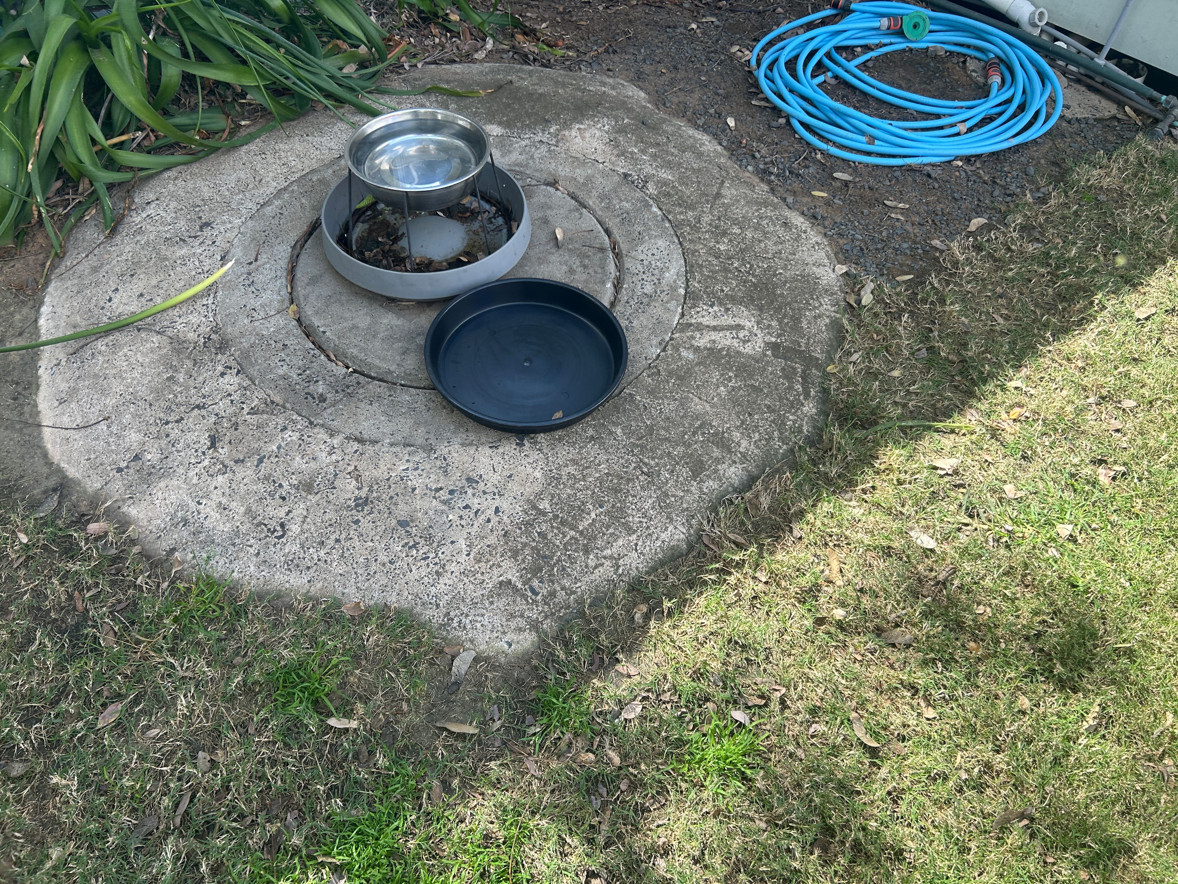 36 A Milne Street — photo 15 of 18