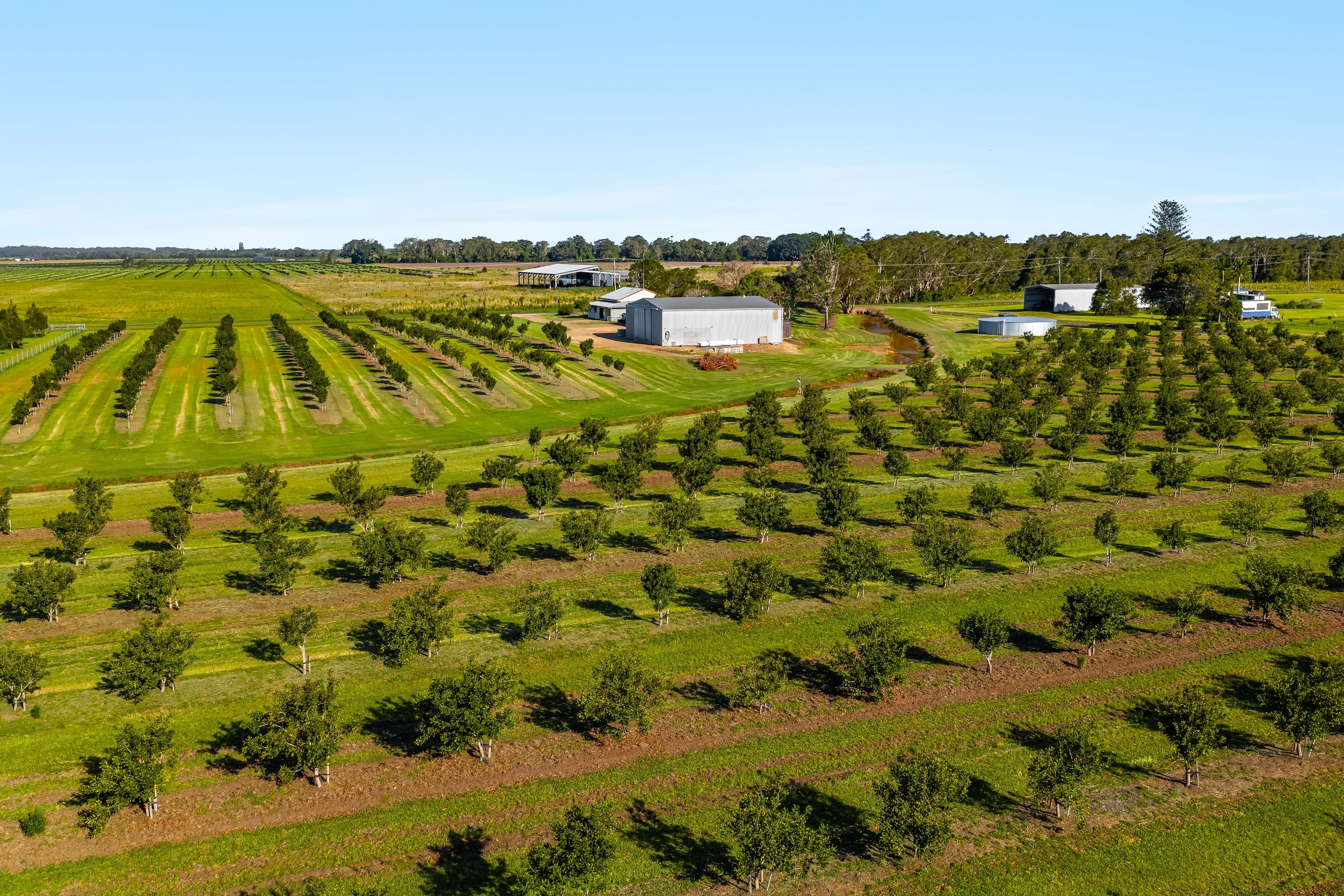 134 Hermans Lane, Pimlico, NSW 2478