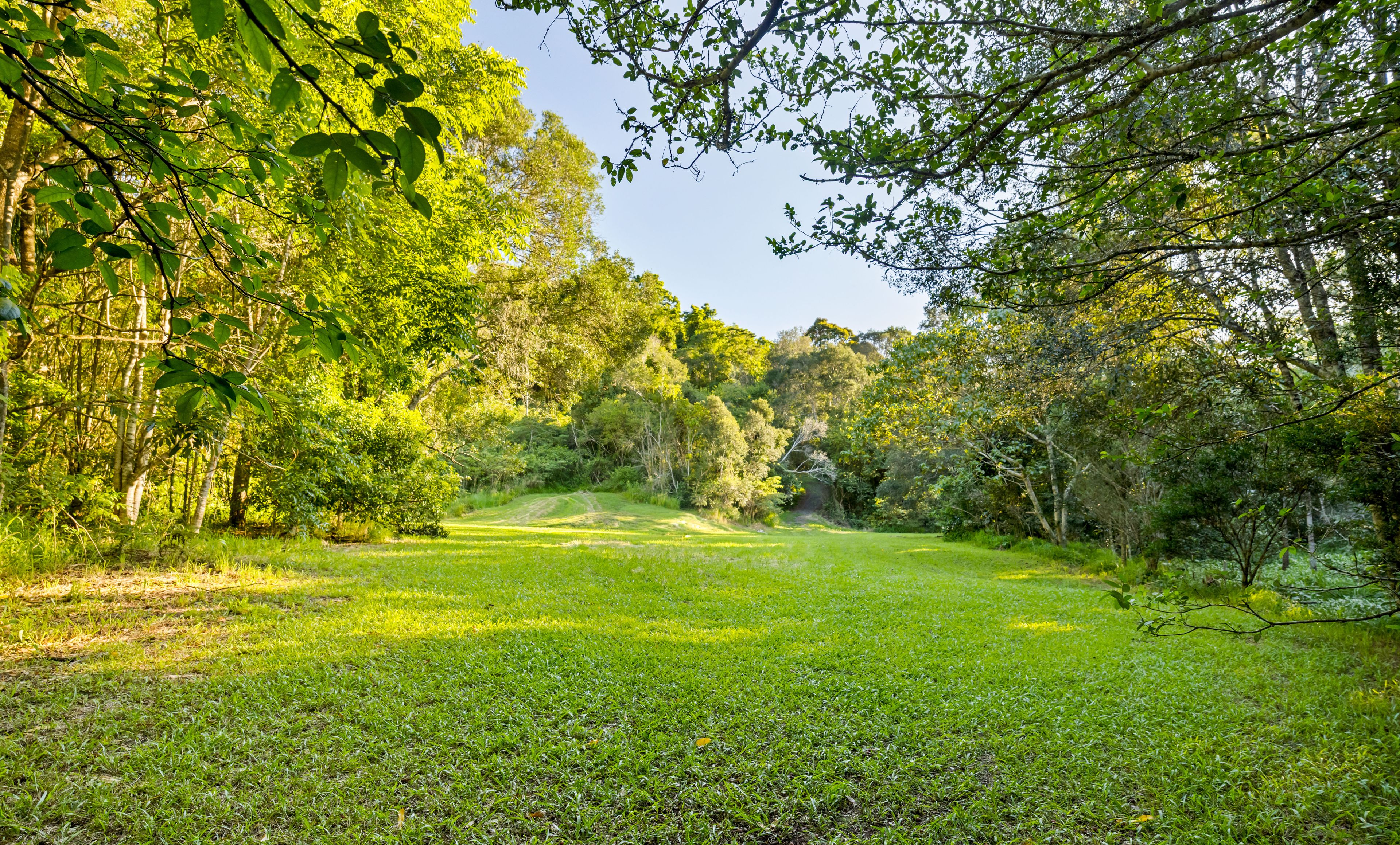 "Bariya" 586 Maleny-Montville Road — photo 3 of 30