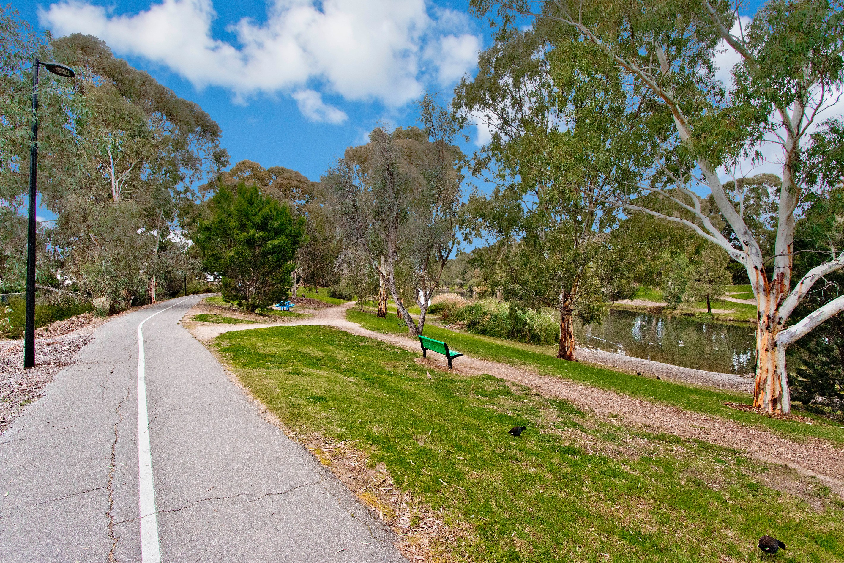 13 Brecon Court, Lockleys, SA 5032