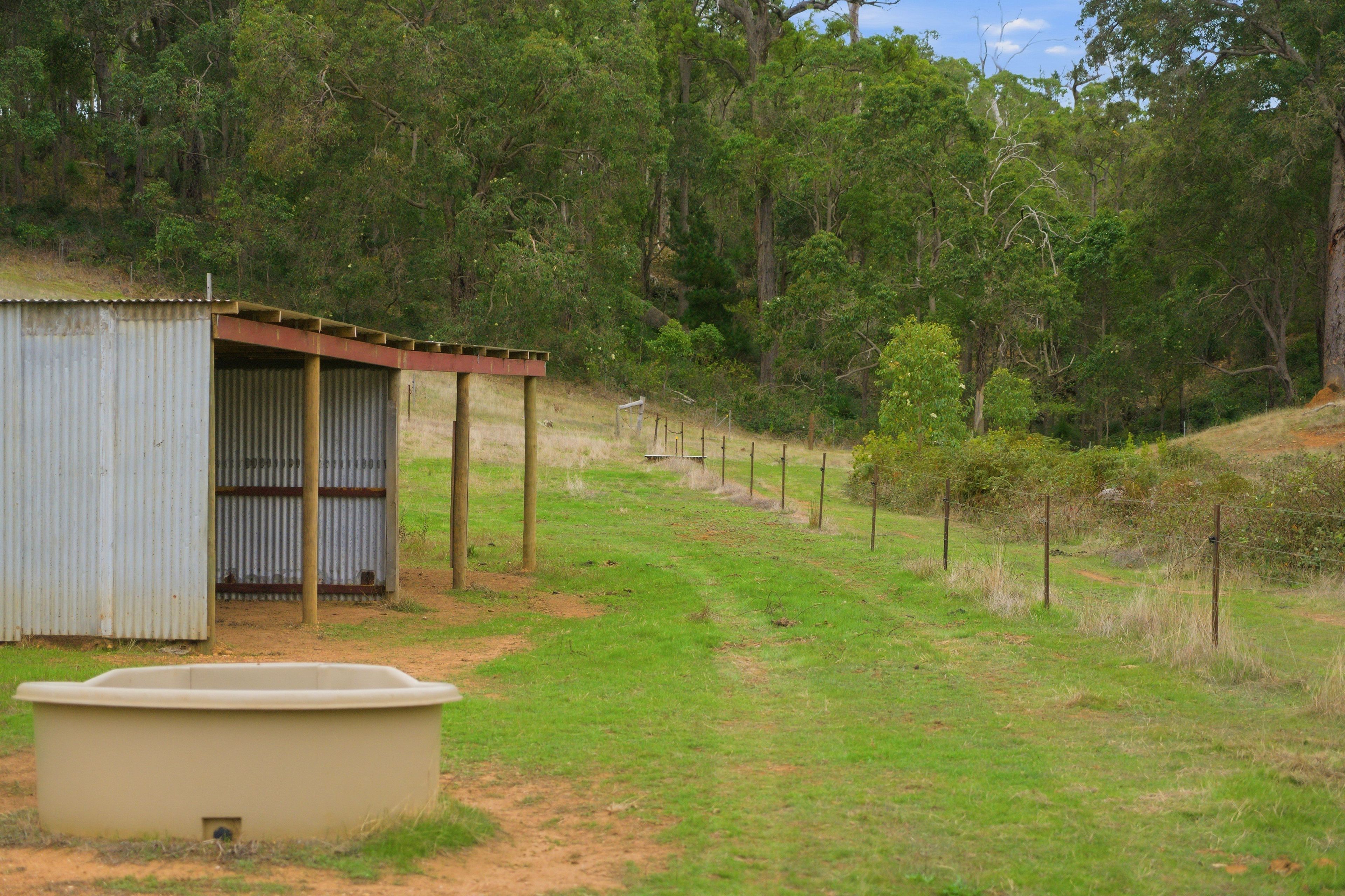 267 Gold Gully Road — photo 27 of 30