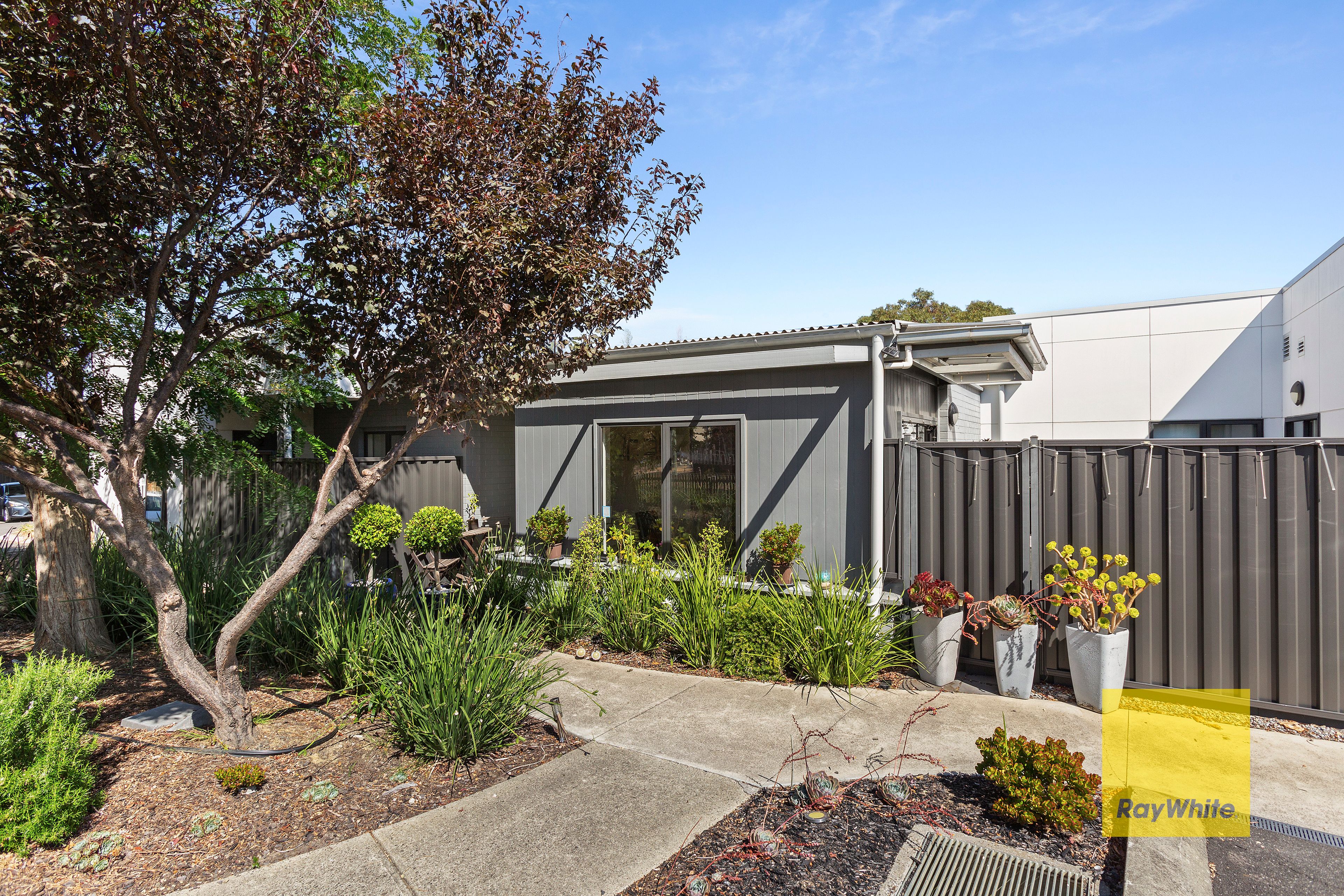 3/17 Colac Grove, Belmont, VIC 3216