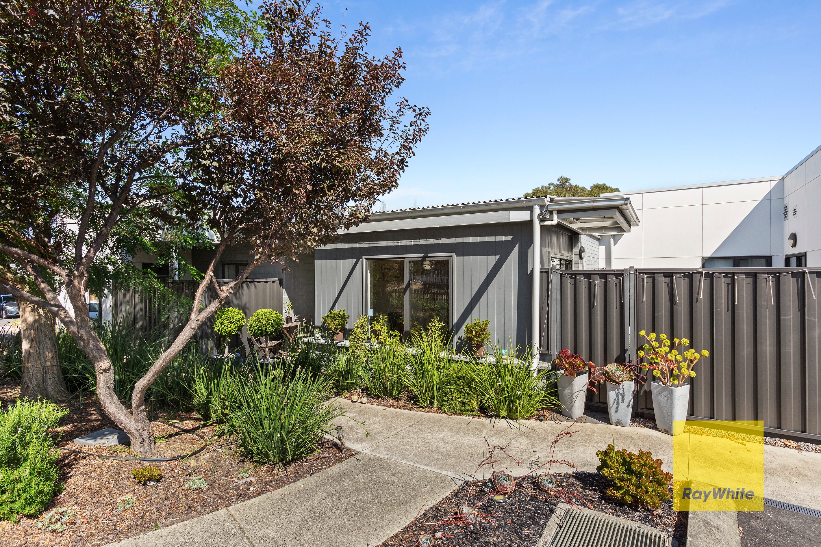3/17 Colac Grove, Belmont, VIC 3216
