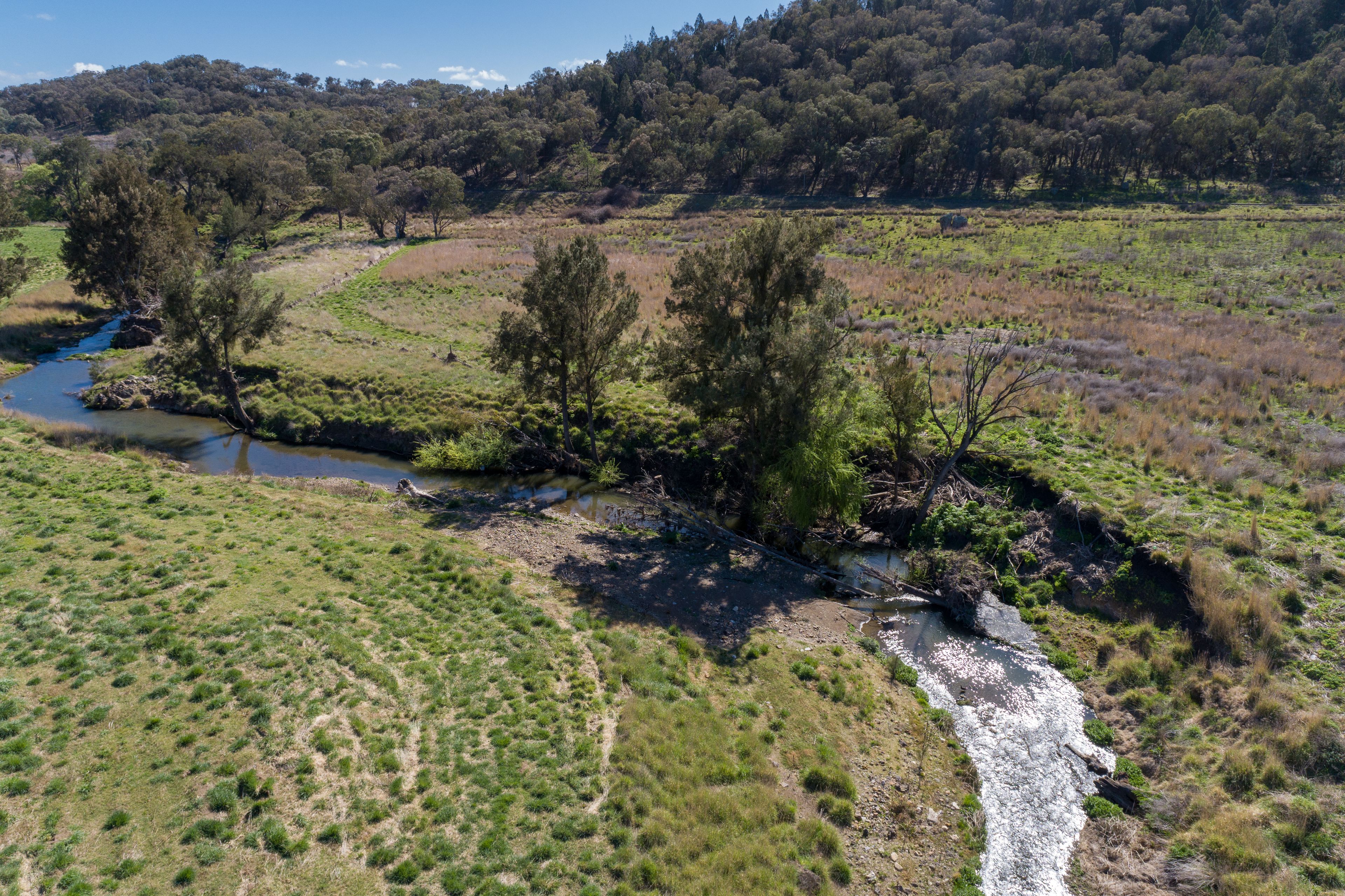 3972 Mitchell Highway, Molong, NSW 2866 Rural Lifestyle Property for