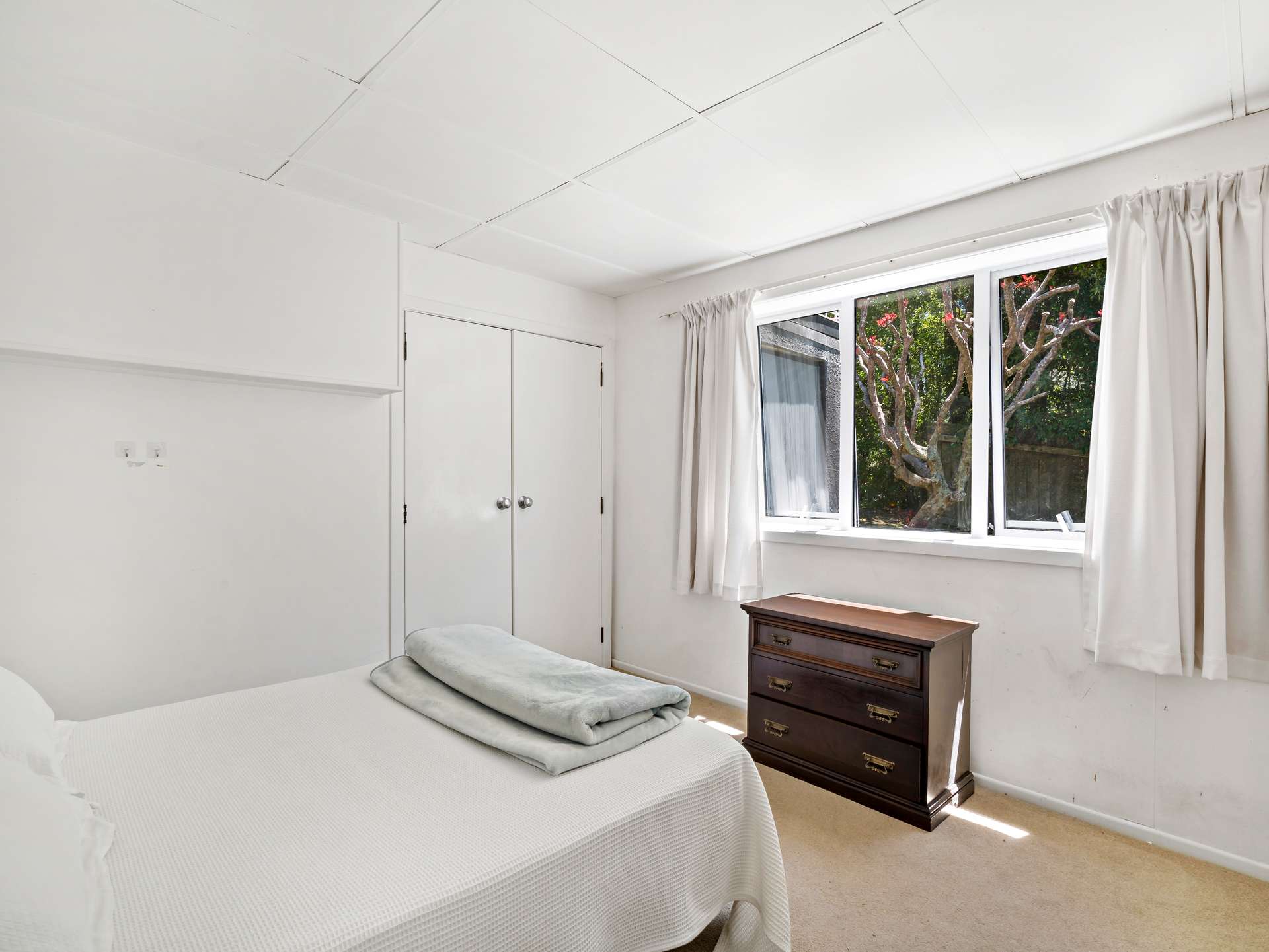 8 Colenso Place photo 23