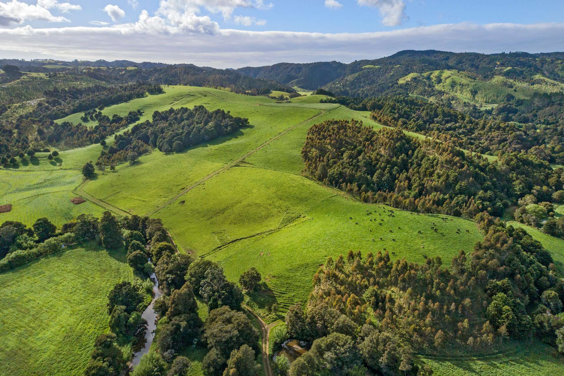 0 Russell Road Airstrip Block photo 0