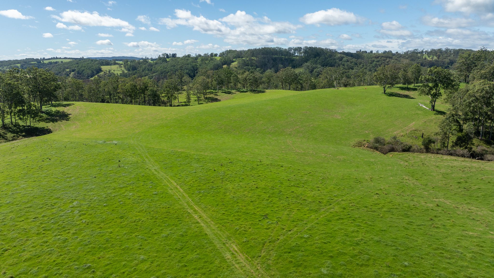 624 Deer Vale Road, Dorrigo, NSW 2453 Rural Property for Sale Ray