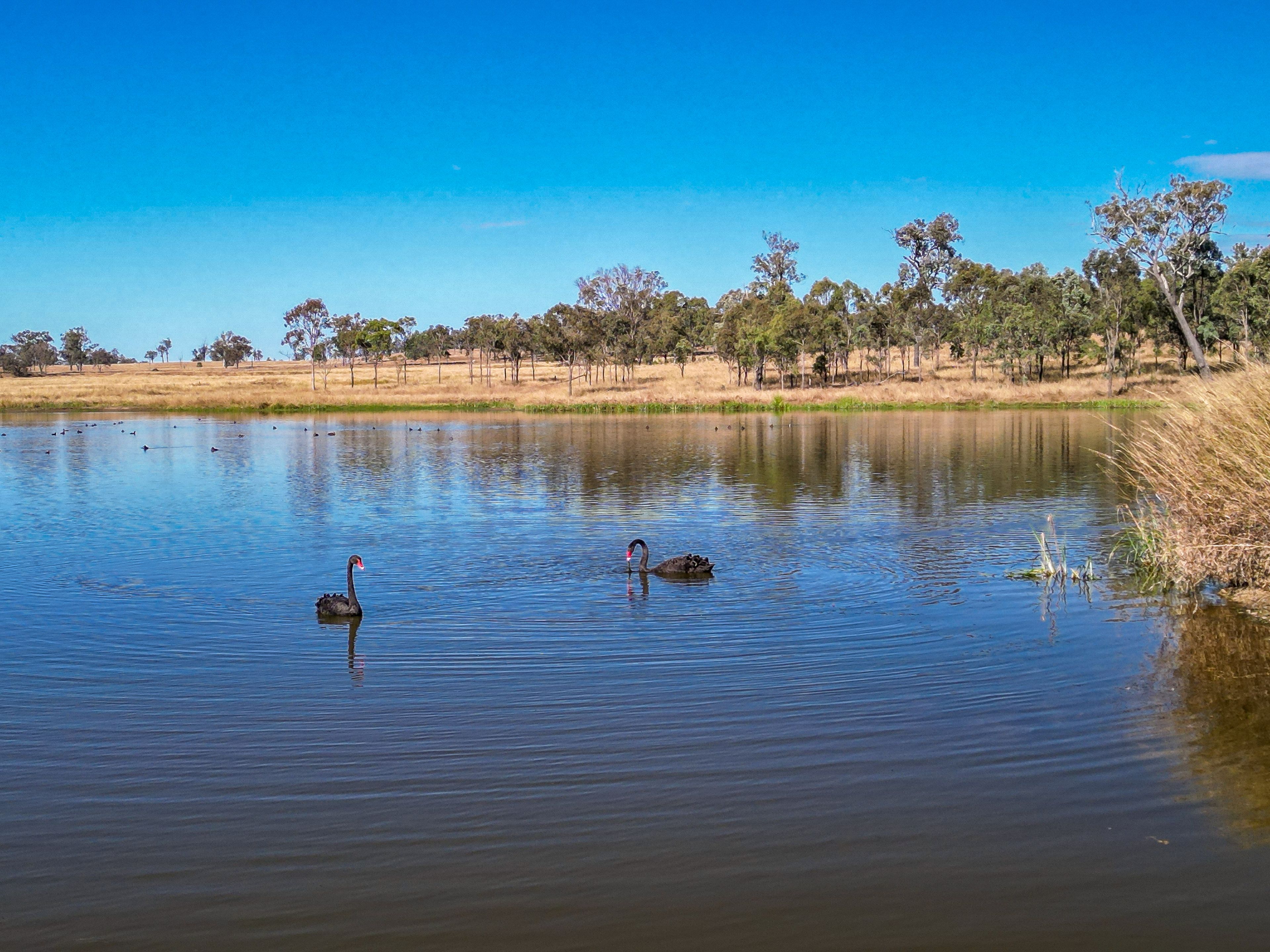 1142 Mount Walker West Road, Mount Walker West, QLD 4340