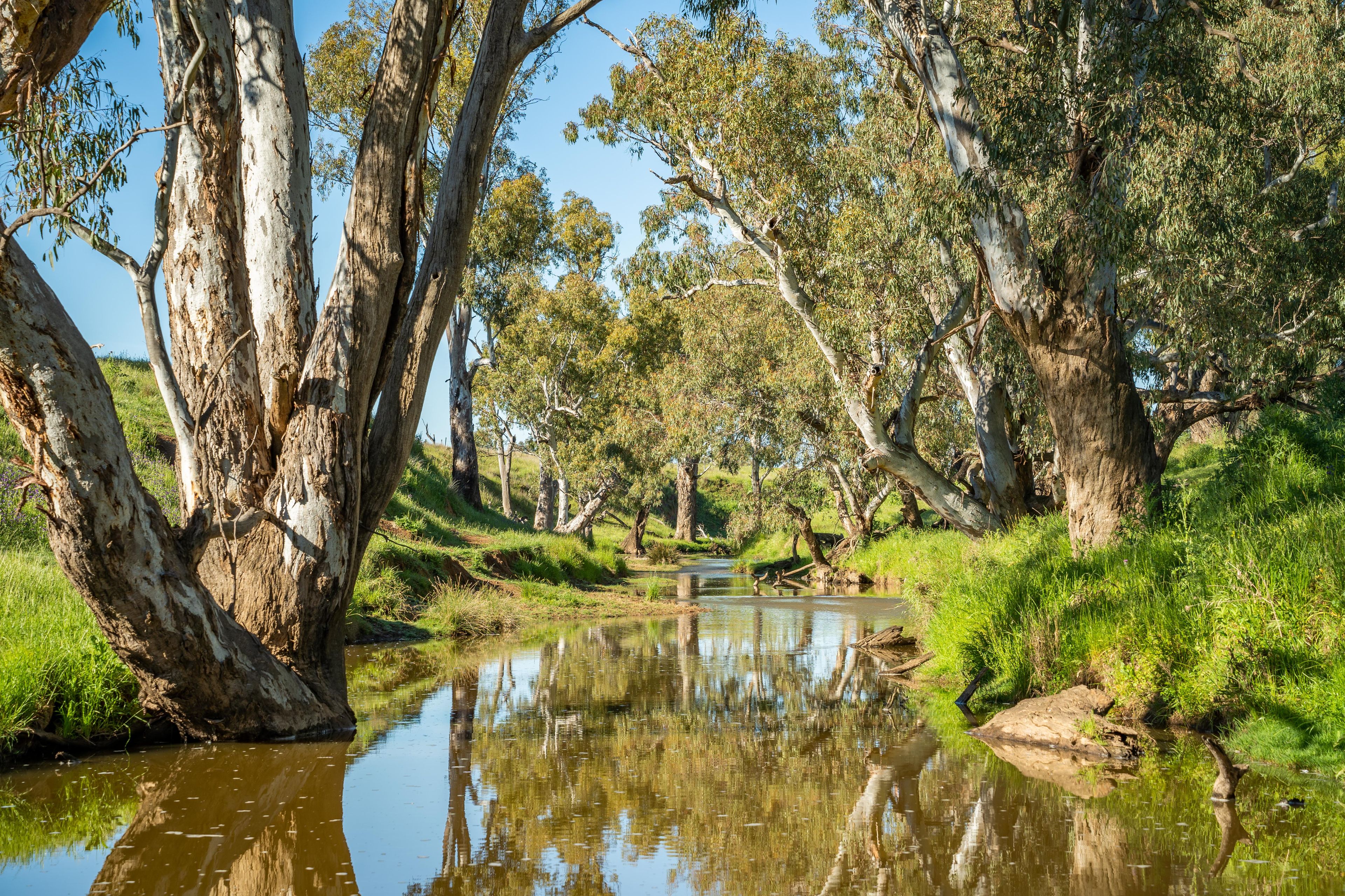 'South Merton' 166 Obley Road, Dubbo, NSW 2830 Sold Rural Mixed