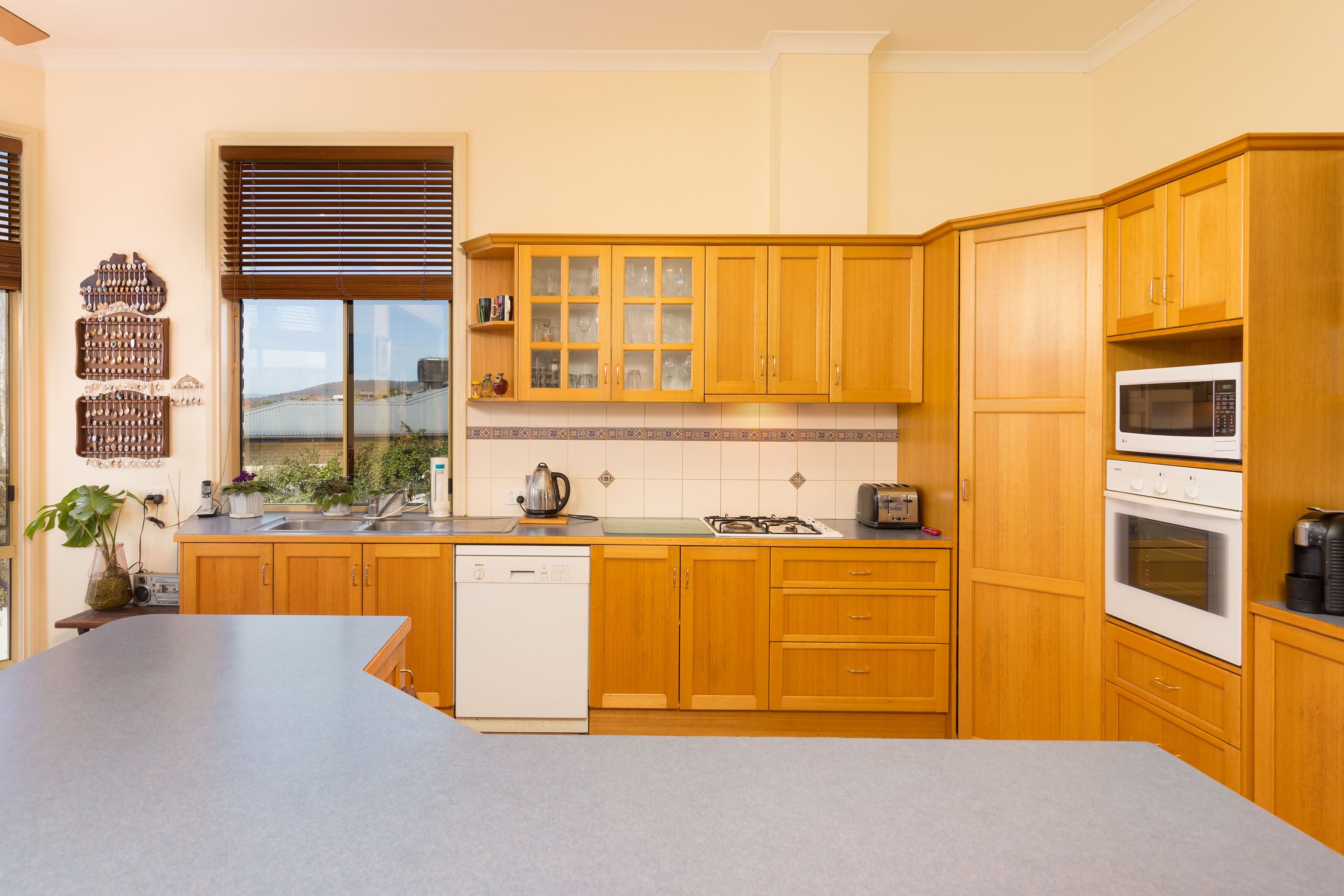86 Michelle Avenue, Lavington, NSW 2641