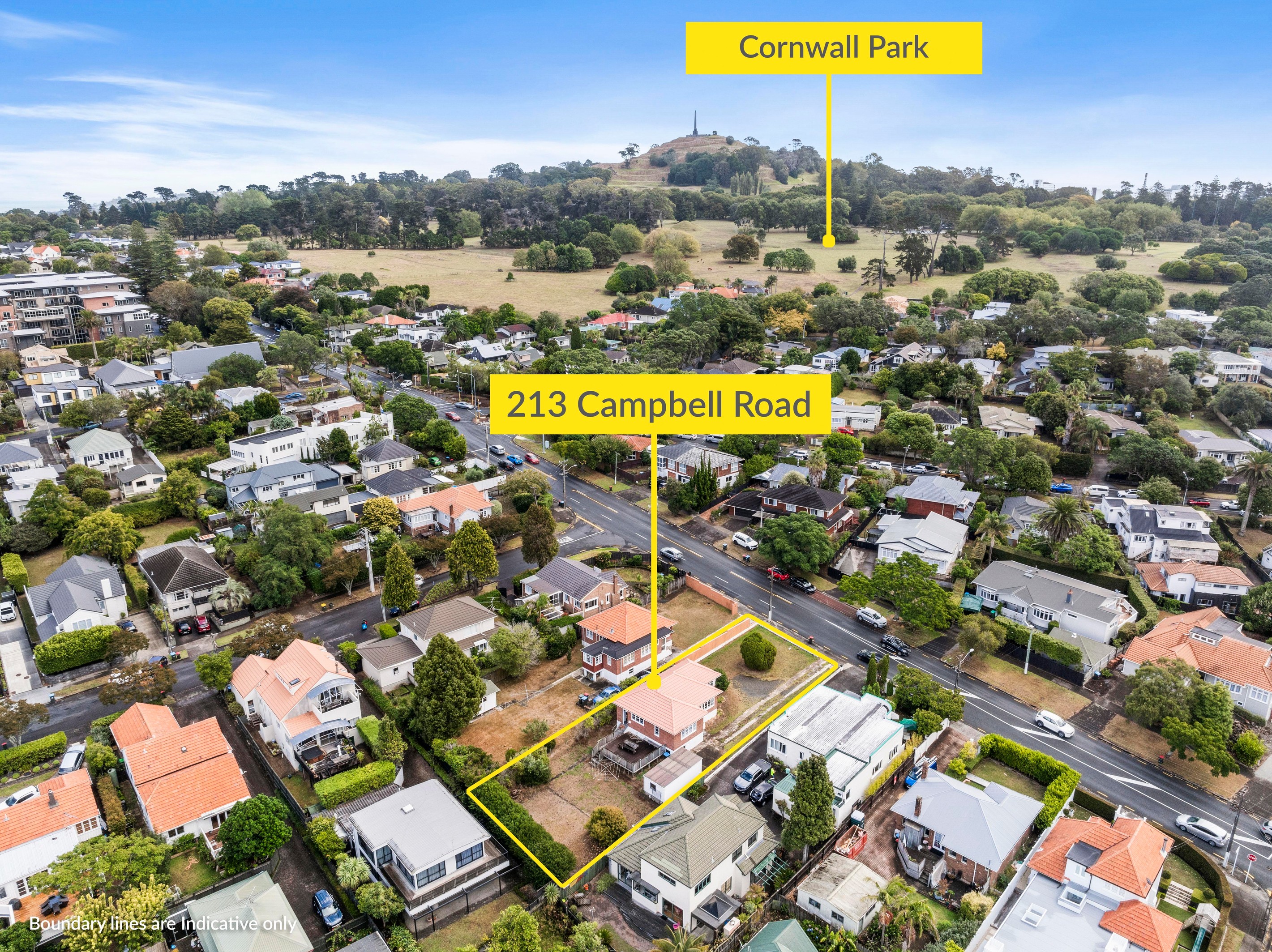 213 Campbell Road, Greenlane, Auckland City