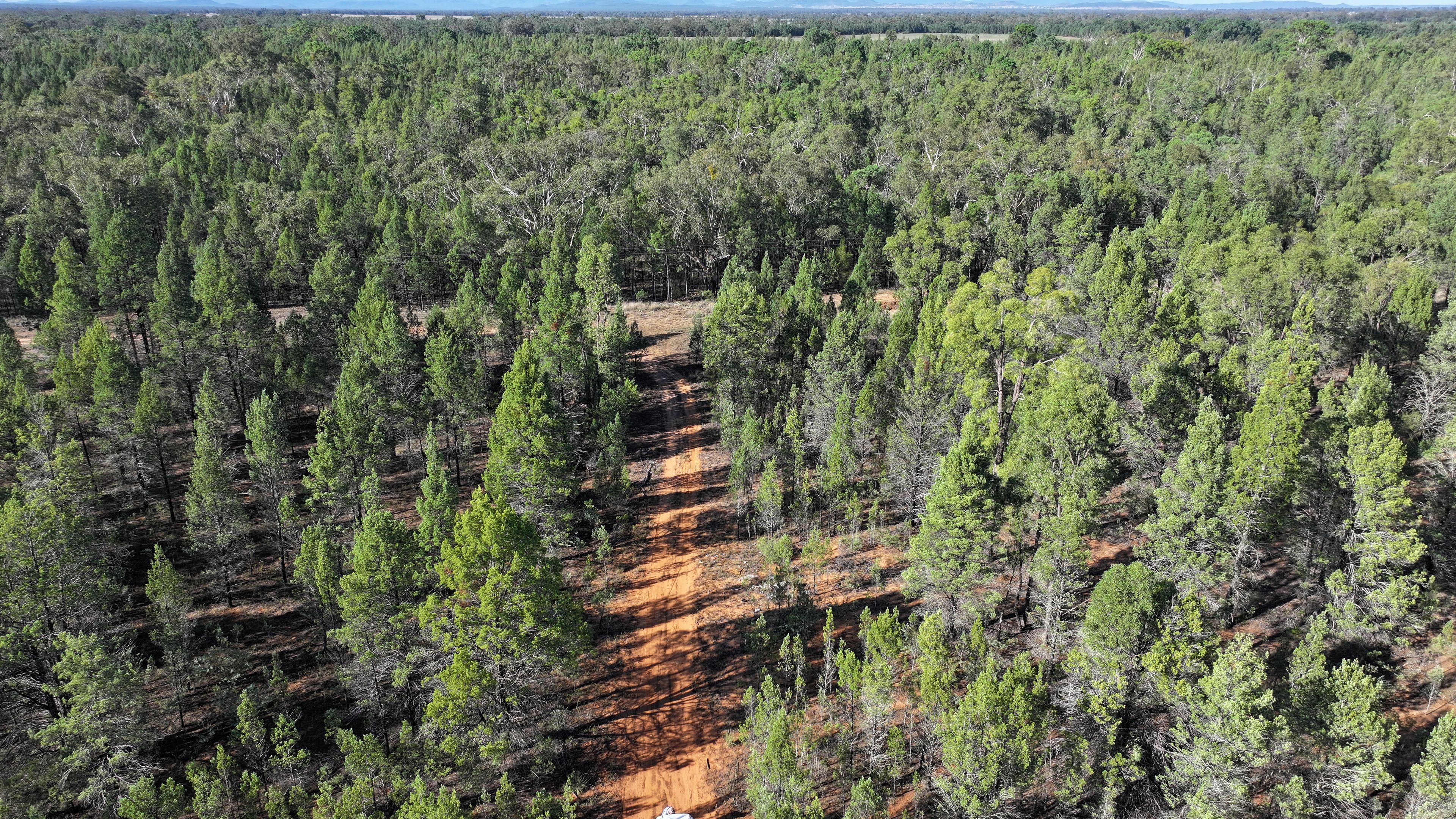 114 Indian Lane, Baradine, NSW 2396